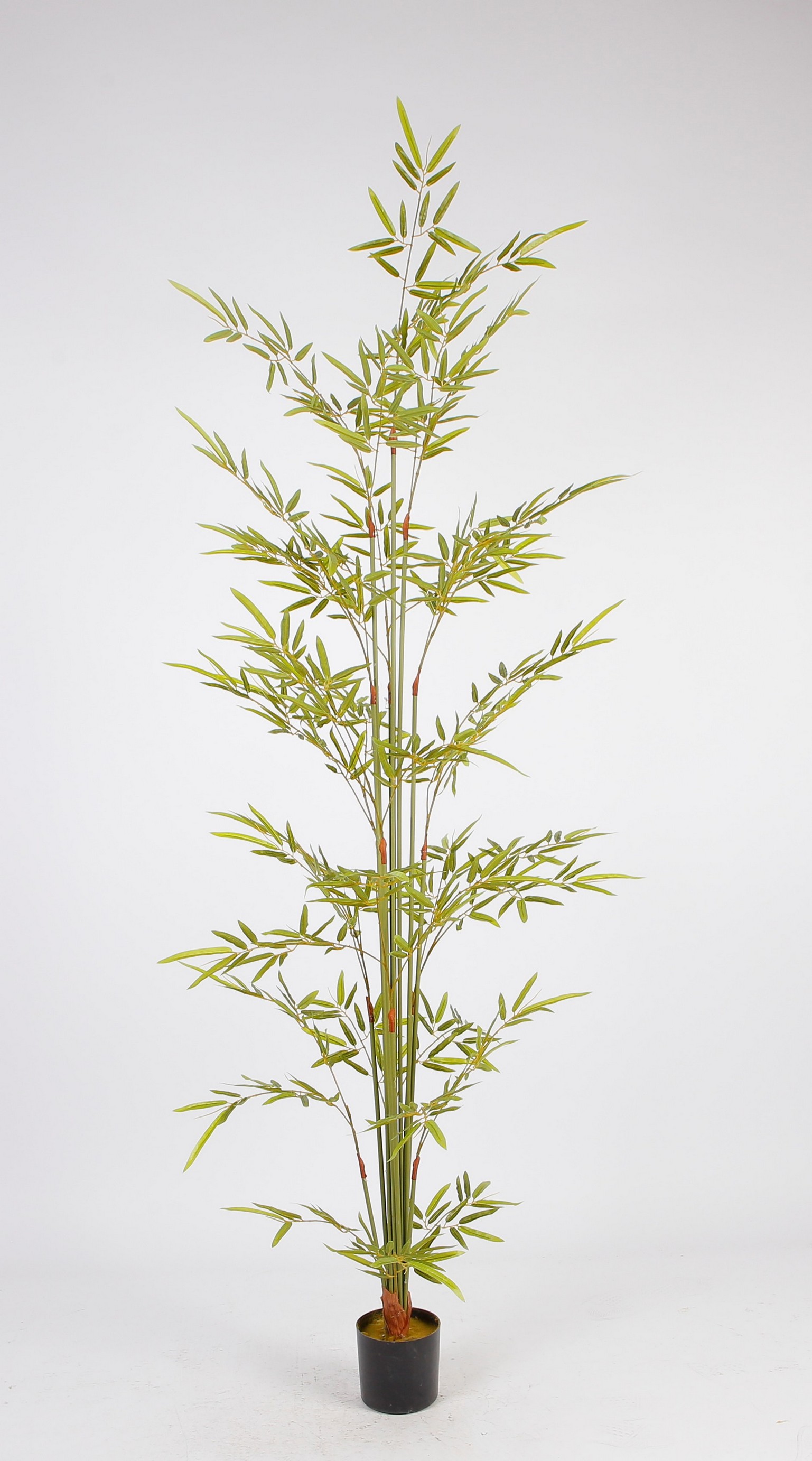 Bambú Decorativo Verde con Maceta Negra (Alto: 170cm)