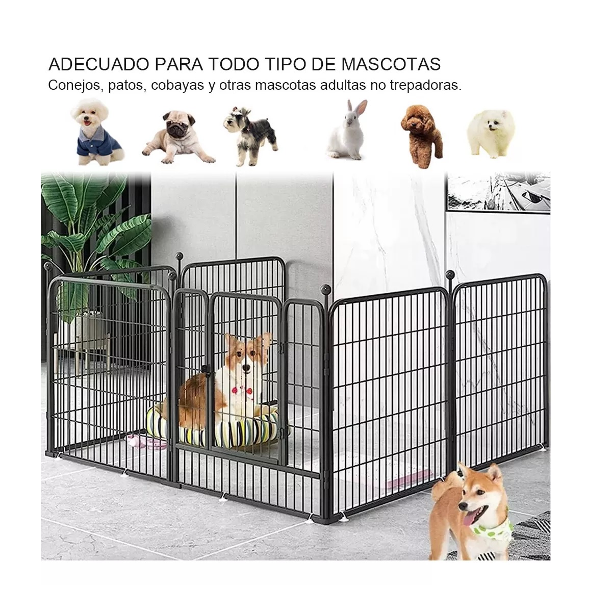 Corral Para Perros Armable Varias Mascotas 6 Paneles