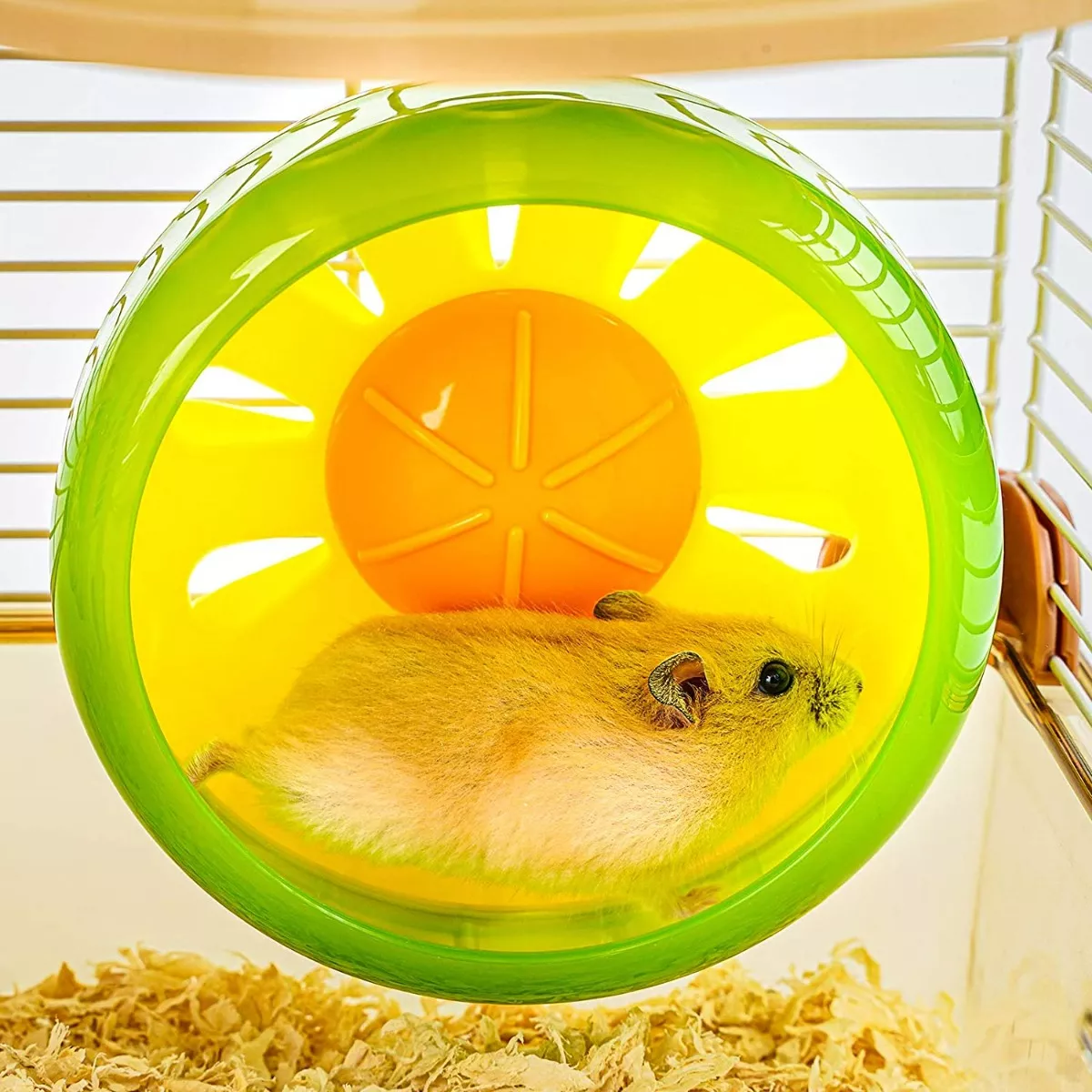 Jaulas Para Hamster Bebedero Rueda Comedero Azul