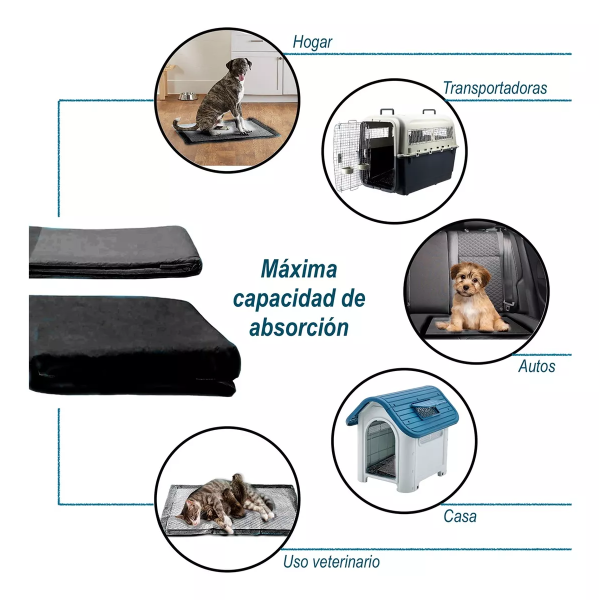Pañal Almohadillas De Entrenamiento Para Perros Y Gatos 50pz Mediano
