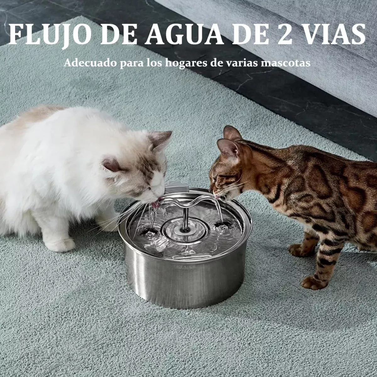 Fuente Para Gatos Y Bebedero Perro Acero Inoxidable 3.2l