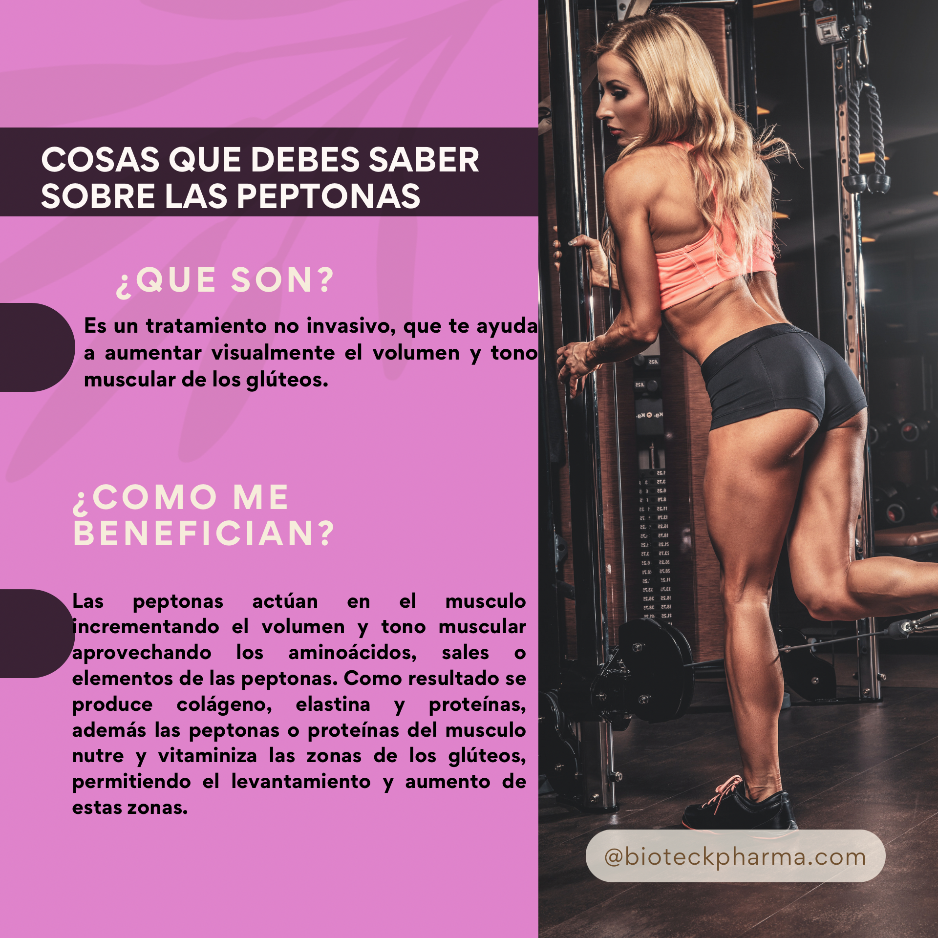 BIOTECKPHARMA| Peptonas Brasileñas para aumento de glúteos| Ácido Hialurónico, Vitamina C, Elastina, Peptidos de proteina de 25ml