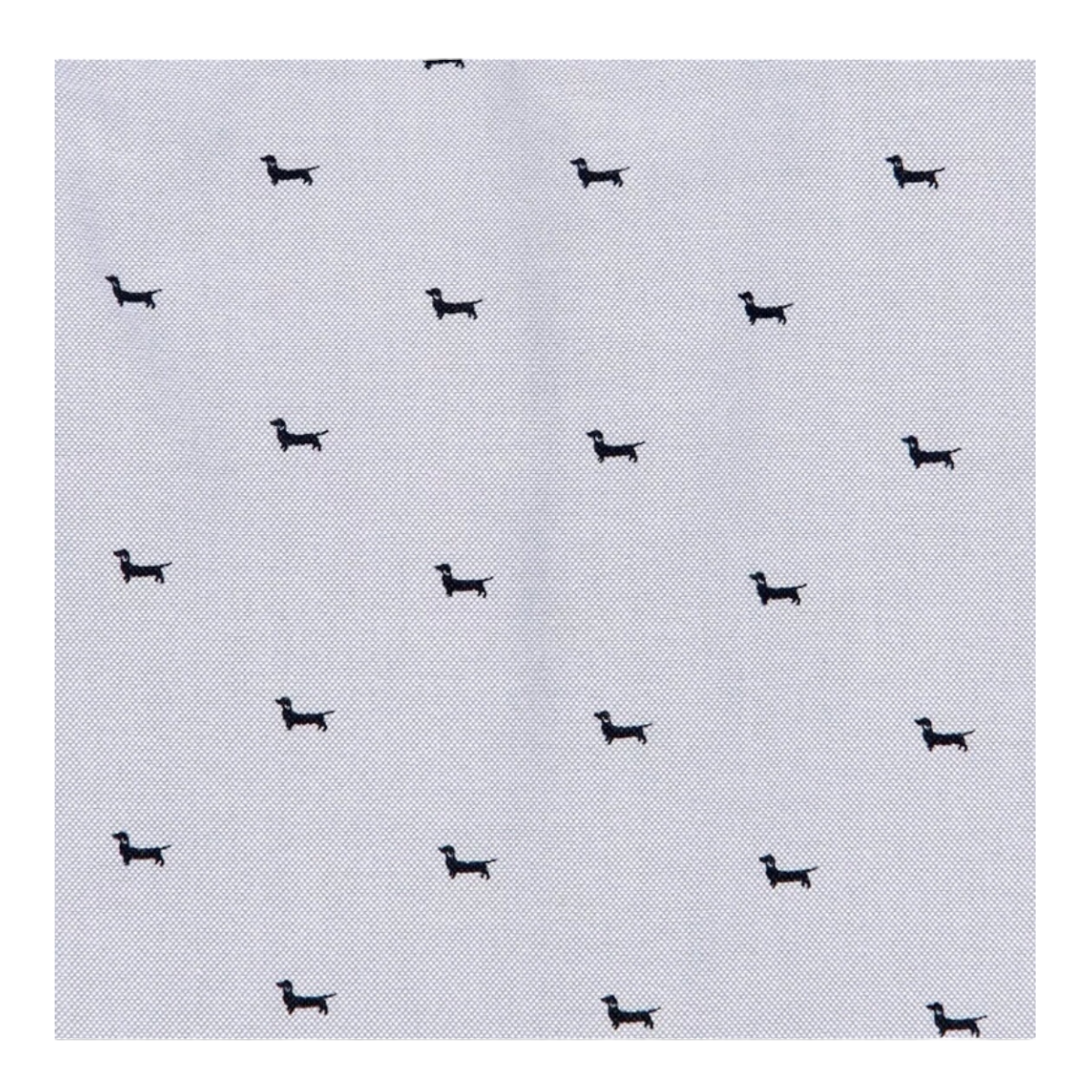 Camisa Azul cielo diseño perritos para bebe Niño BOBOLI