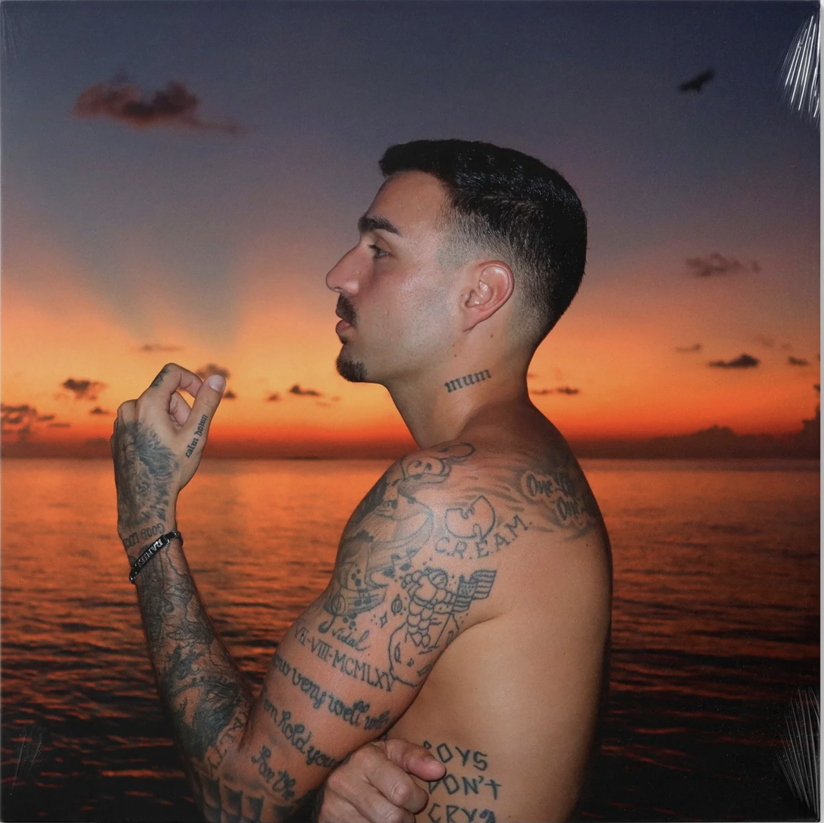 Rels B Album "a new star (1 9 9 3)" en formato vinilo