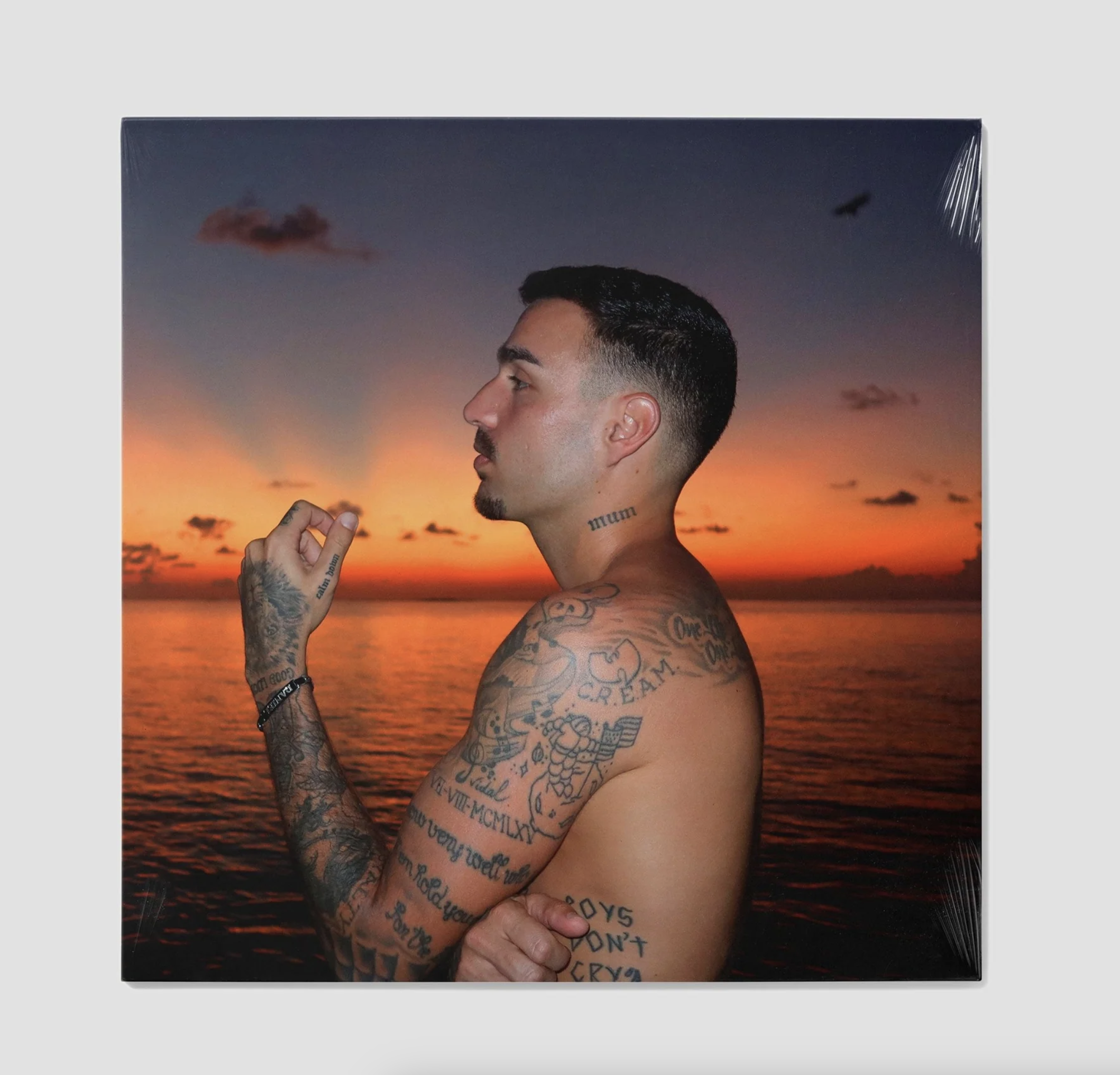Rels B Album "a new star (1 9 9 3)" en formato vinilo