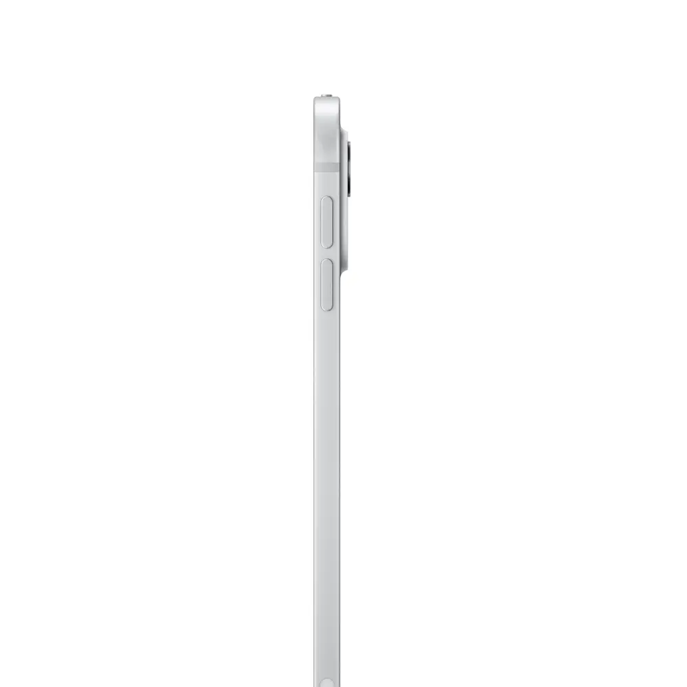 Apple iPad Pro 11 Chip M4 Wi-Fi 256 GB Plata