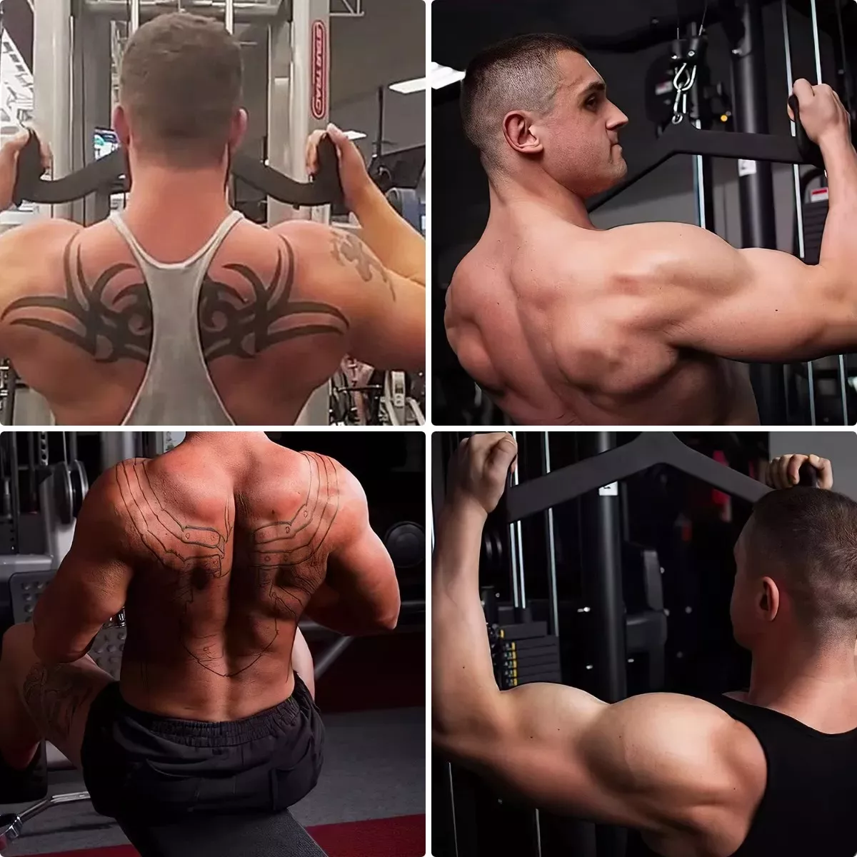 Kit Agarre Jalon Remo Grip Polea Espalda Ejercicio Gym 5 Pcs