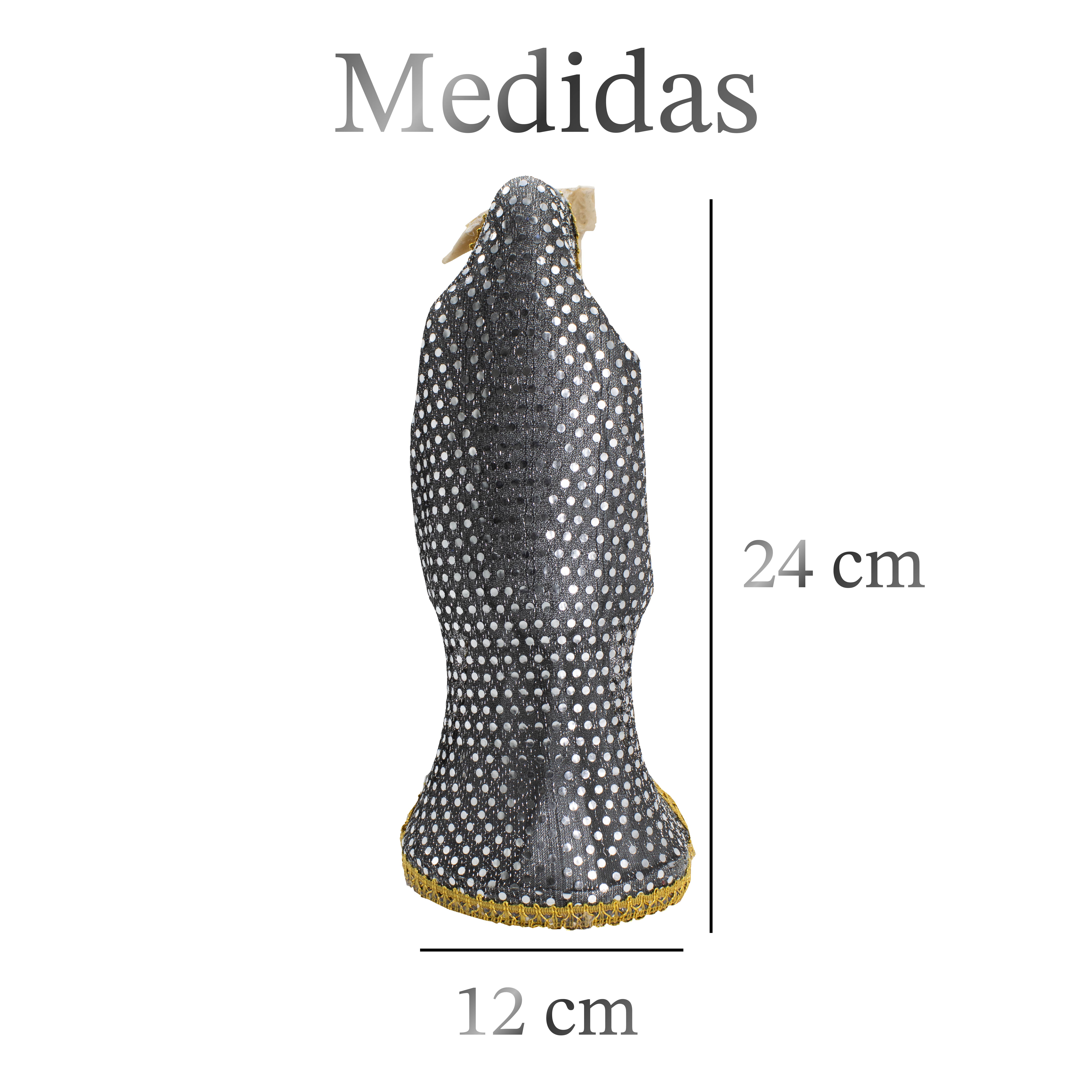 Santa Muerte Vestida Plateada para el Éxito Y Abundancia 24 CM + Libro Esotérico