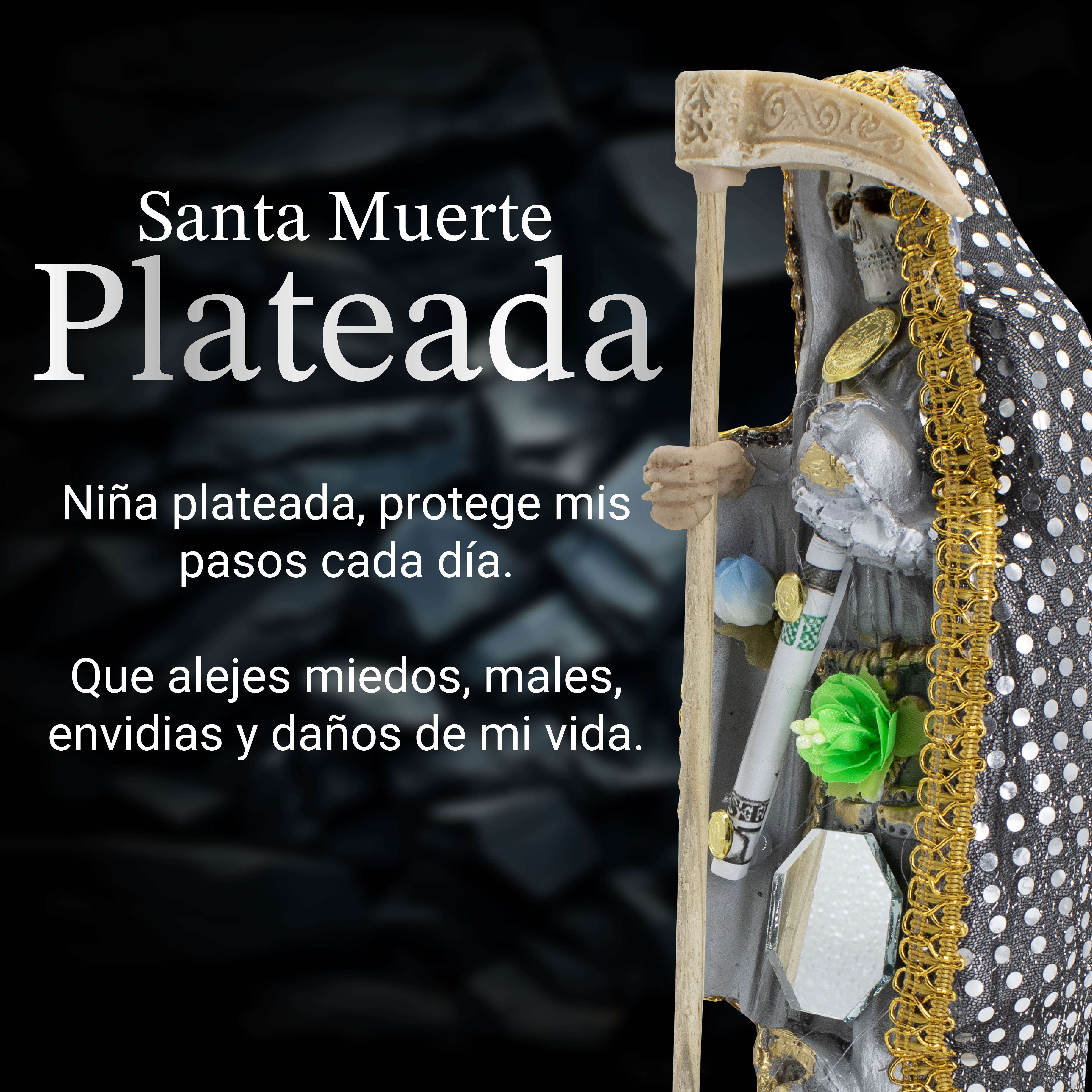 Santa Muerte Vestida Plateada para el Éxito Y Abundancia 24 CM + Libro Esotérico