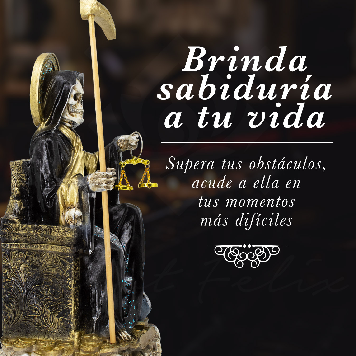 Santa Muerte Suprema 30 cm Negra con Búho + Libro