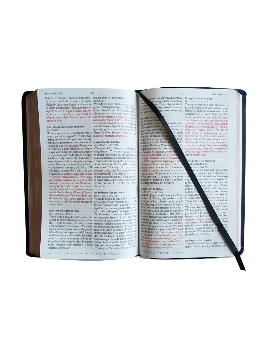 Título: Biblia RVR 1960 Letra Grande Tamaño Manual Edición: Piel Premier, Negro