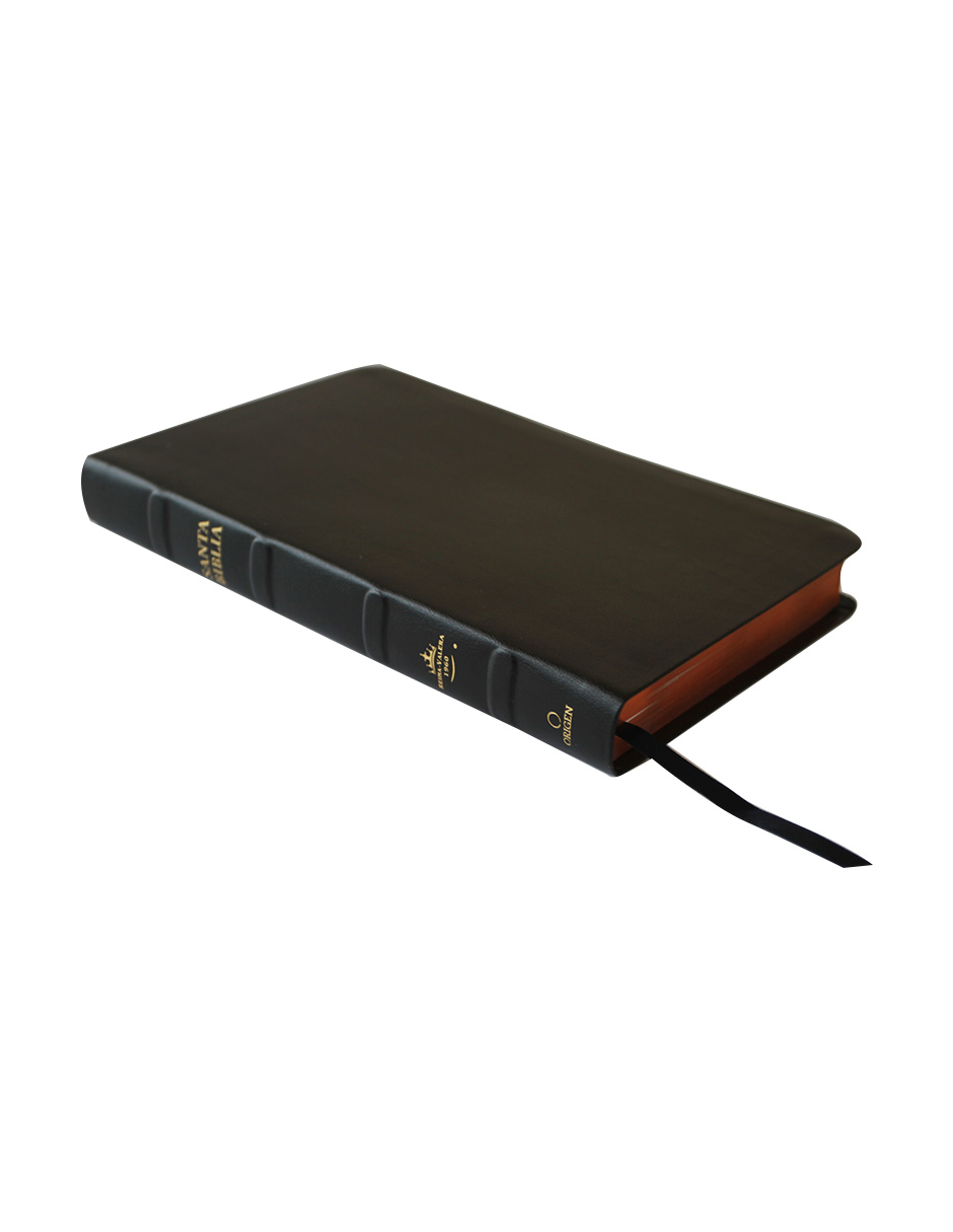 Título: Biblia RVR 1960 Letra Grande Tamaño Manual Edición: Piel Premier, Negro