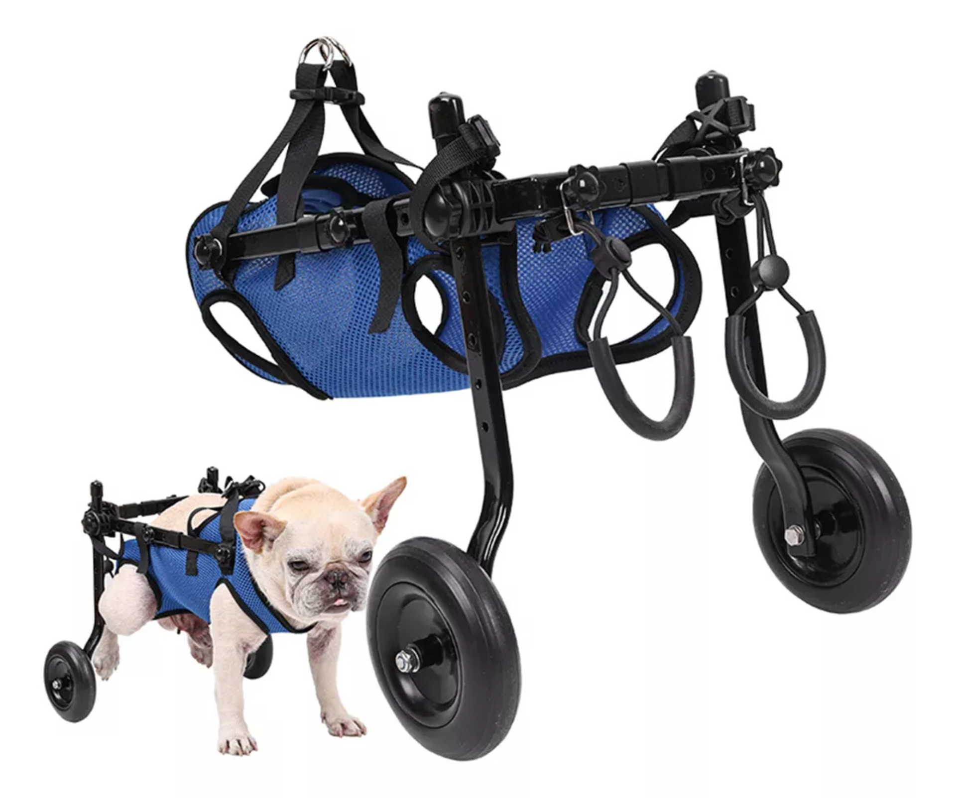Silla De Ruedas Para Perros O Gatos Patas Traseras S Color Azul