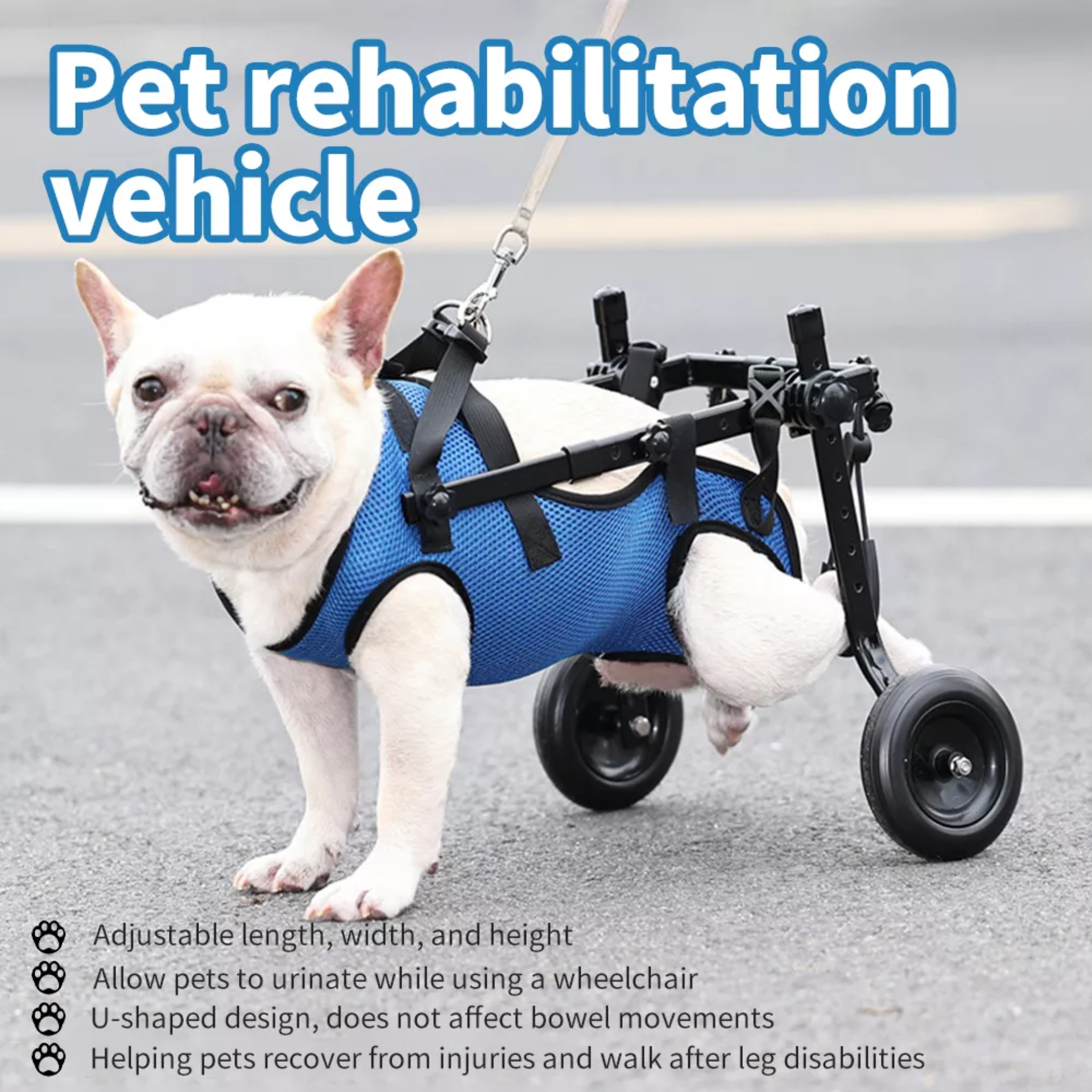 Silla De Ruedas Para Perros O Gatos Patas Traseras S Color Azul