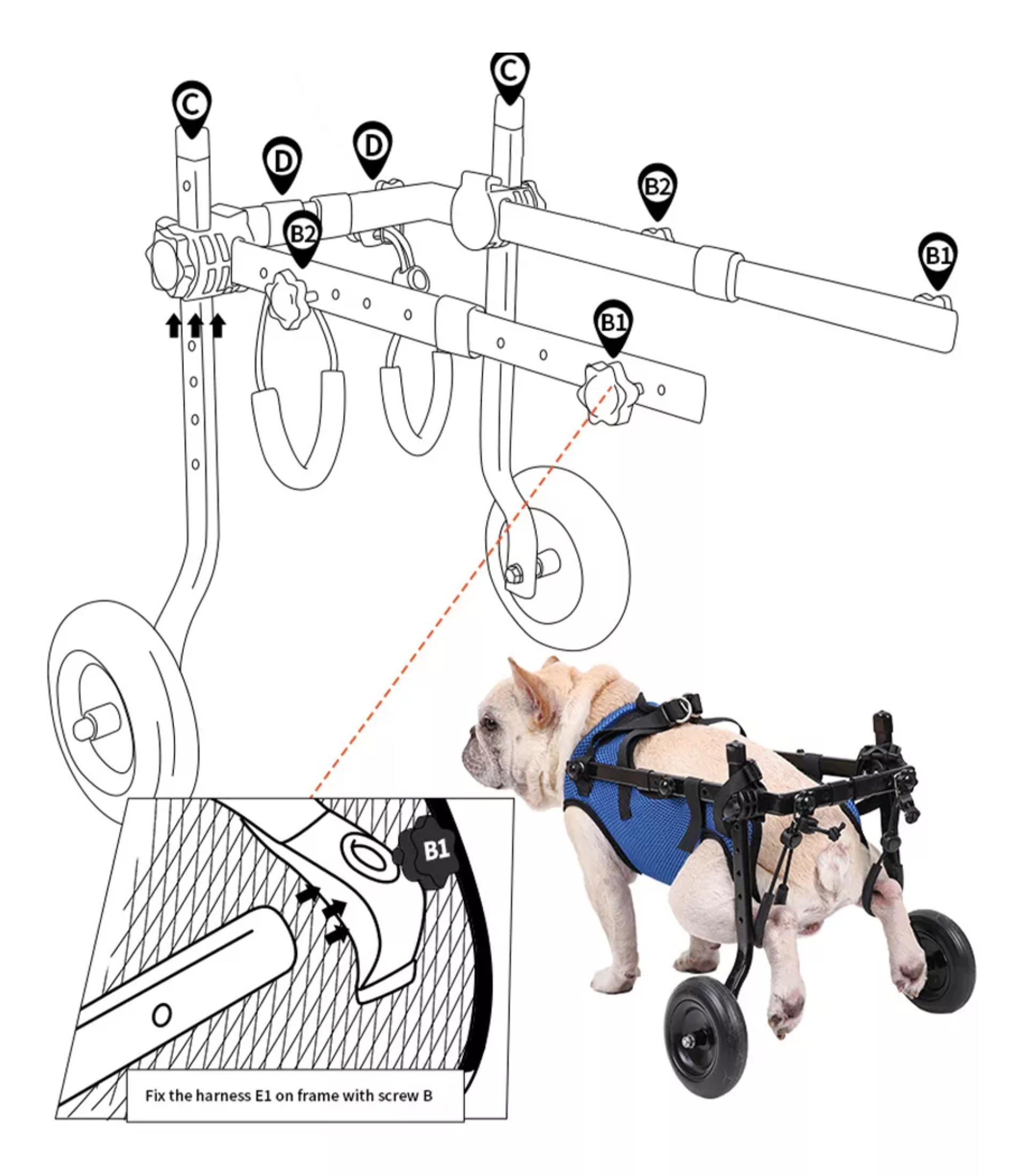 Silla De Ruedas Para Perros O Gatos Patas Traseras S Color Azul