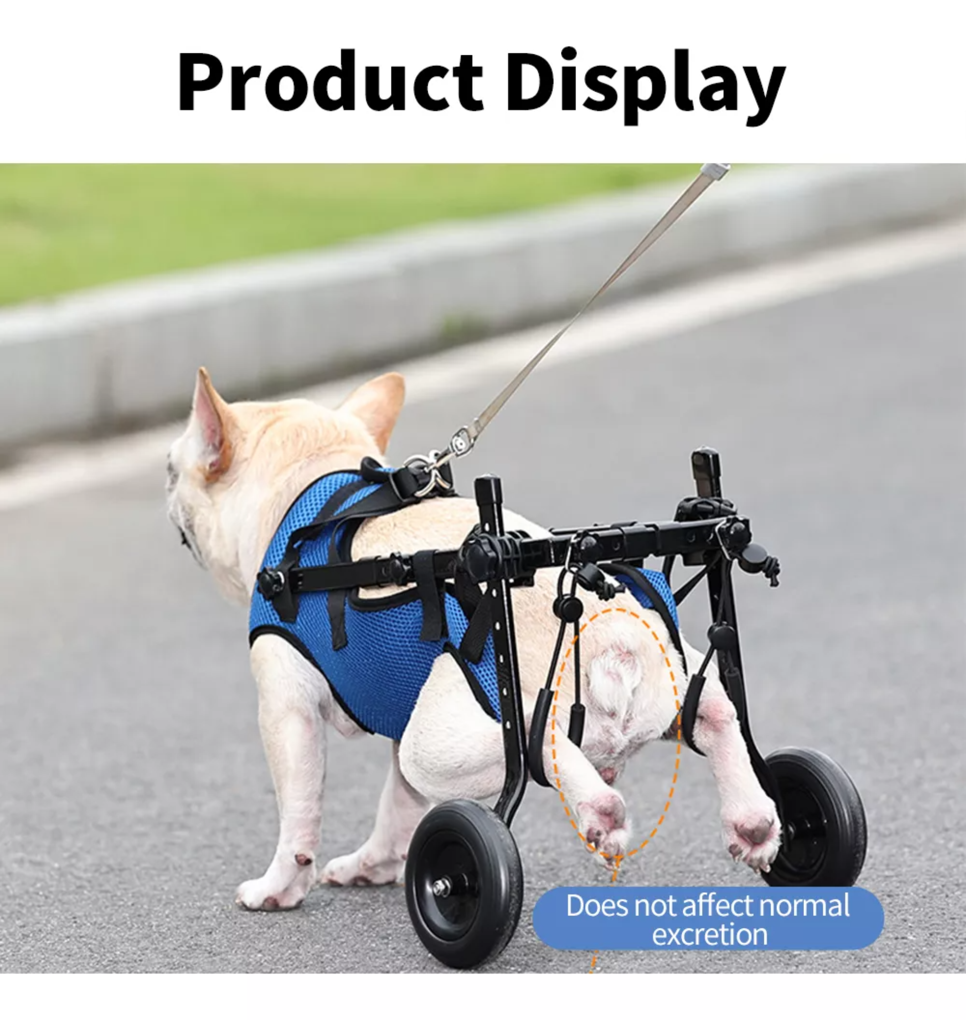 Silla De Ruedas Para Perros O Gatos Patas Traseras S Color Azul