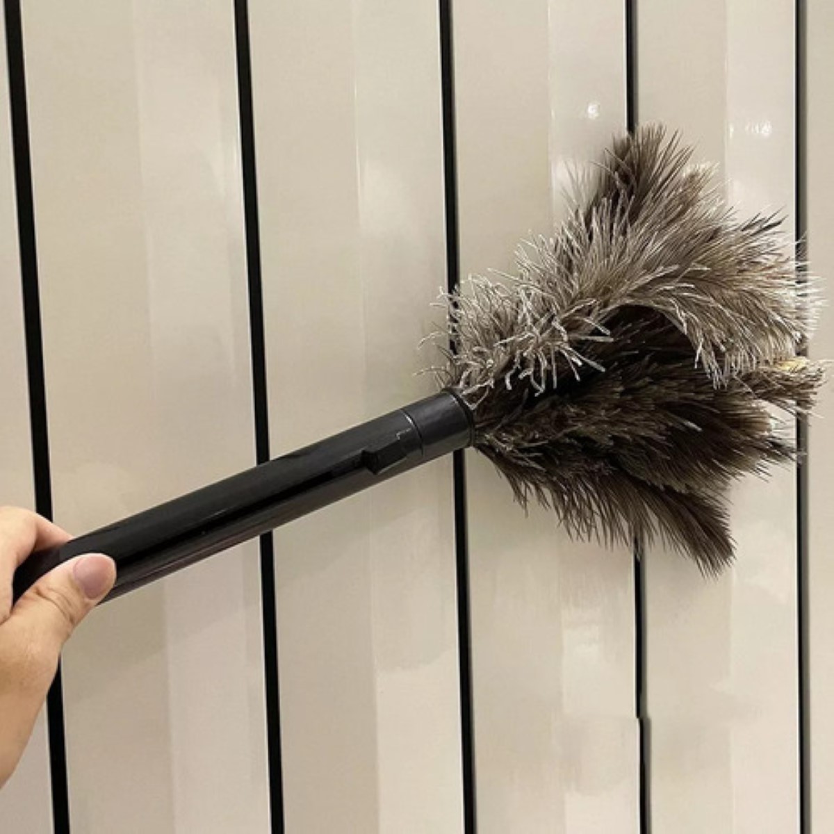 Plumero De Plumas, Plumas De Avestruz Natural Para El Polvo negro cafe 