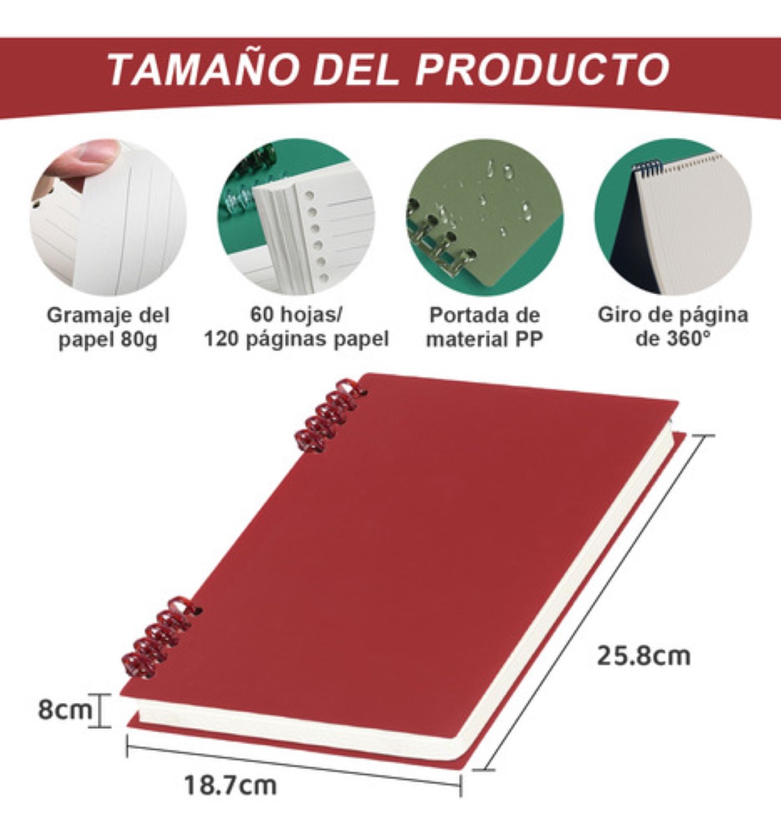 Cuaderno Profesional Libretas Espiral Raya Y Cuadro 6 Pzs B5 colores
