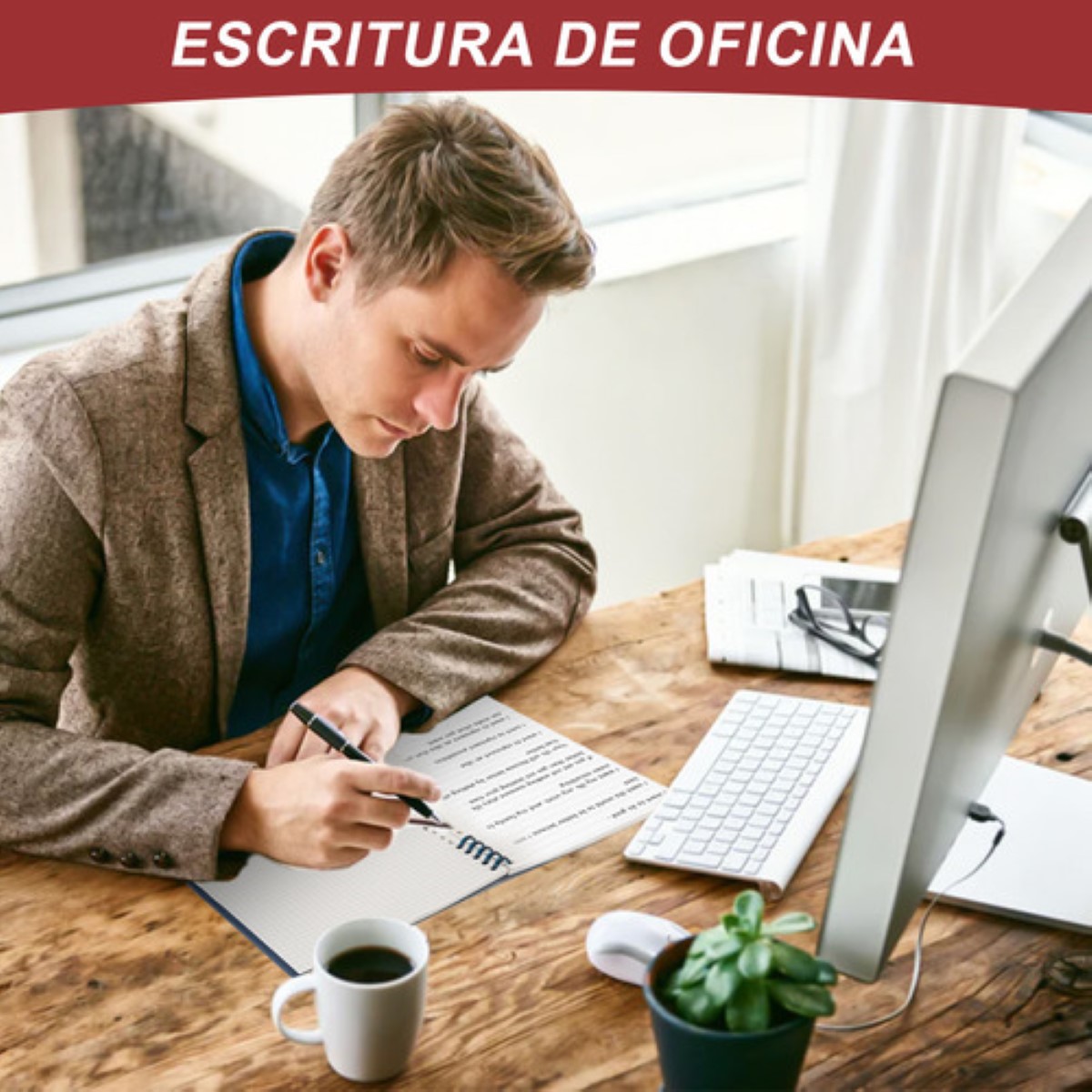Cuaderno Profesional Libretas Espiral Raya Y Cuadro 6 Pzs B5 colores