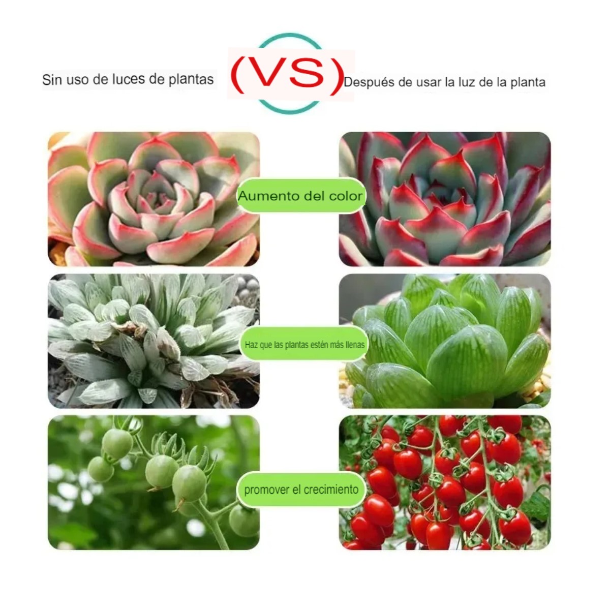 Luz Led USB cultivo plantas tira lámpara Phyto completo semillas flores invernadero plantas