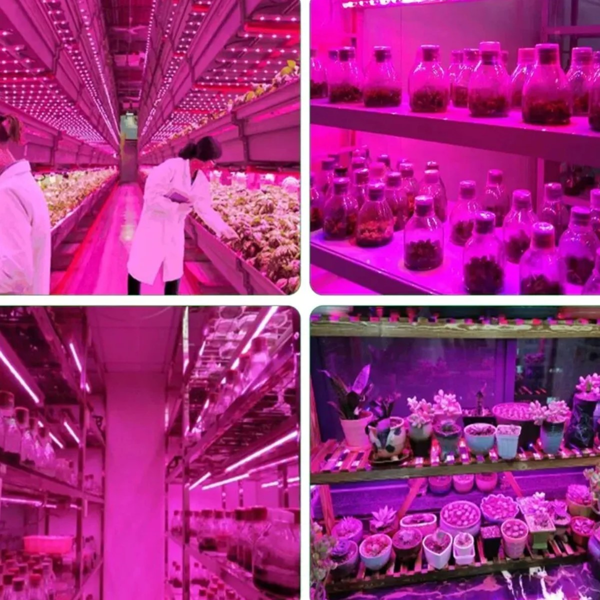 Luz Led USB cultivo plantas tira lámpara Phyto completo semillas flores invernadero plantas