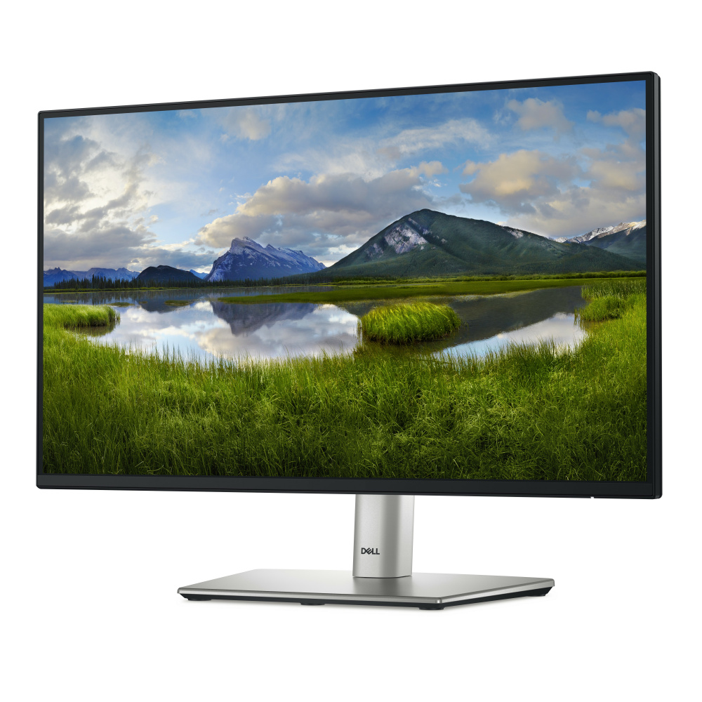 Monitor Dell P2225H LED 21.5", Full HD, 100Hz, HDMI, Negro/Plata