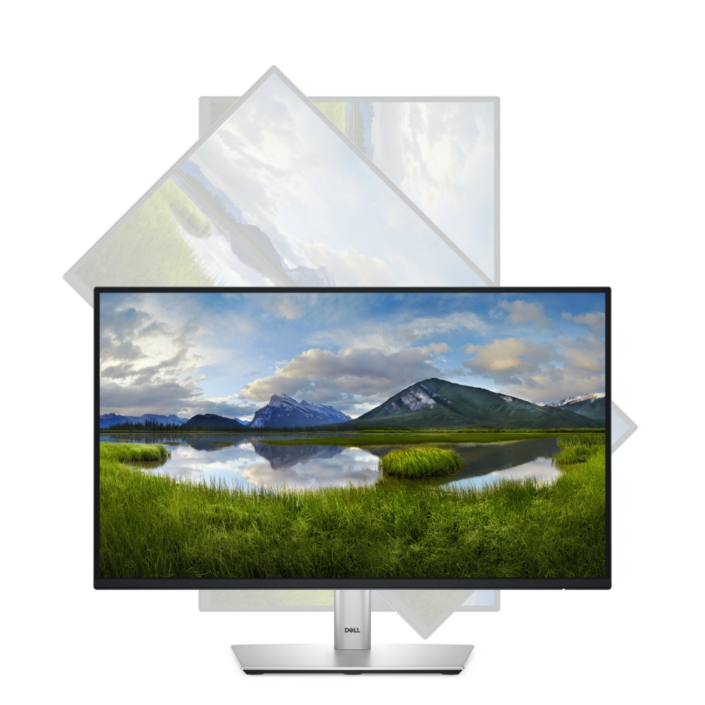 Monitor Dell P2225H LED 21.5", Full HD, 100Hz, HDMI, Negro/Plata