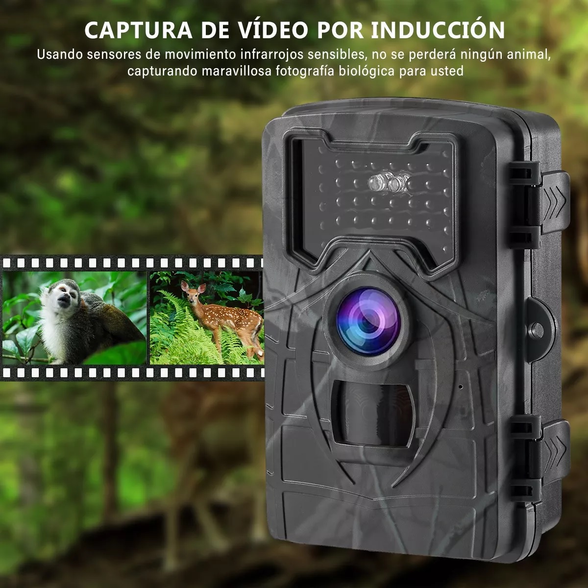 Cámara Digital De Cacería De 1080p Ip66 Con Visión Nocturna