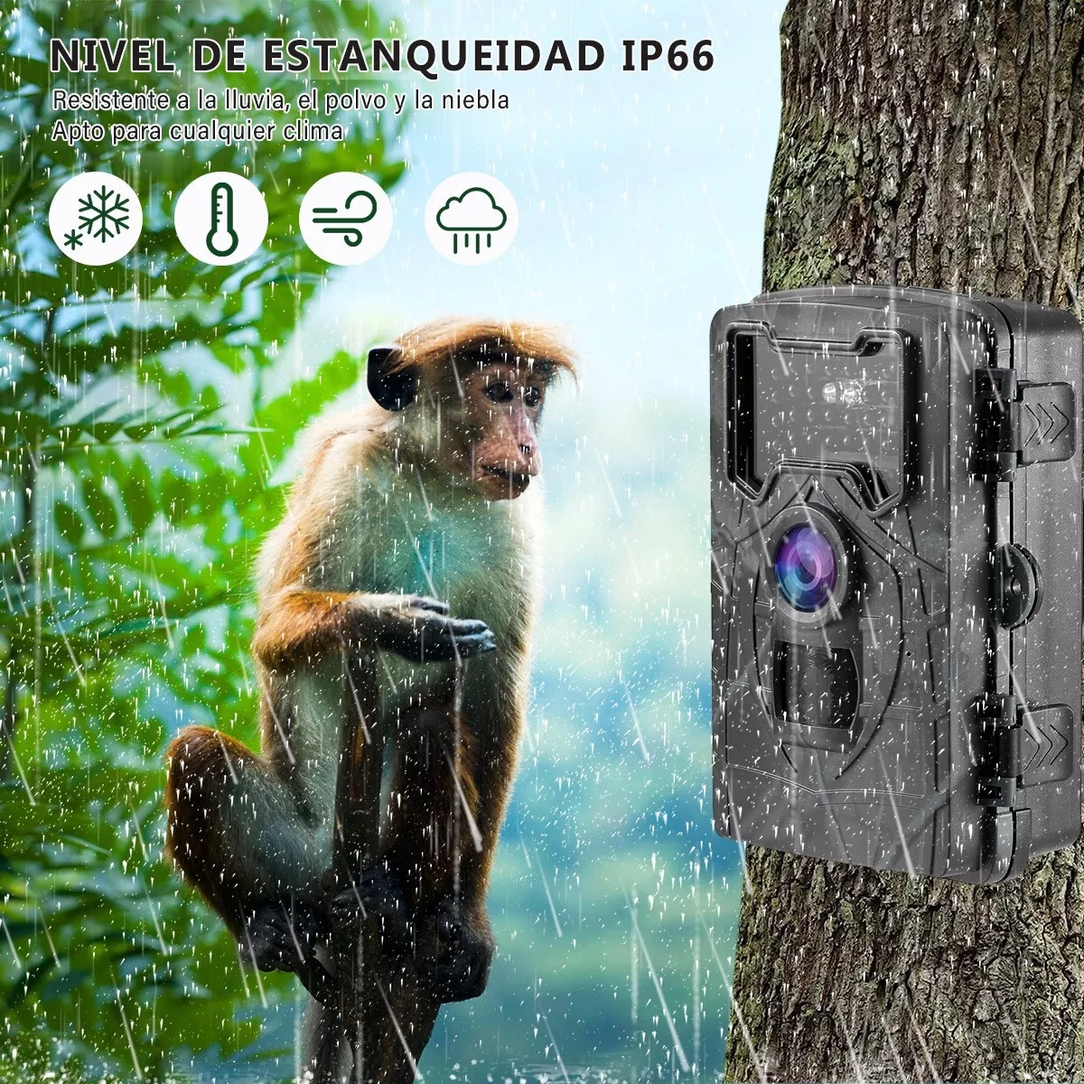 Cámara Digital De Cacería De 1080p Ip66 Con Visión Nocturna