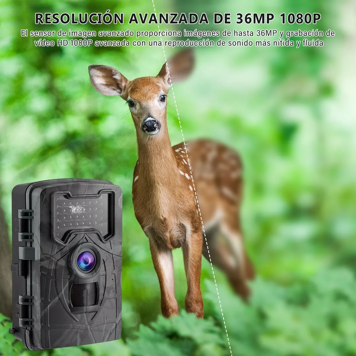 Cámara Digital De Cacería De 1080p Ip66 Con Visión Nocturna