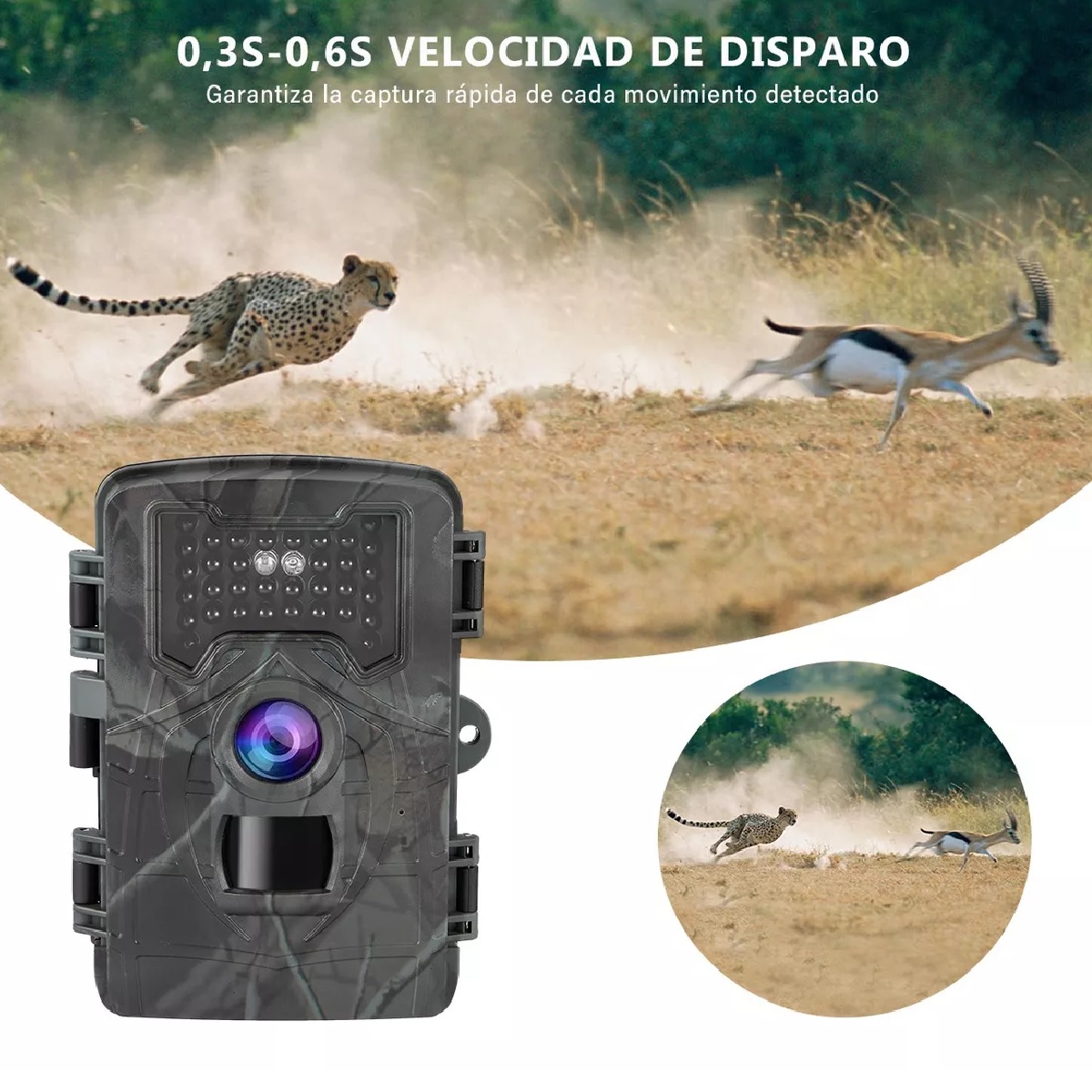 Cámara Digital De Cacería De 1080p Ip66 Con Visión Nocturna