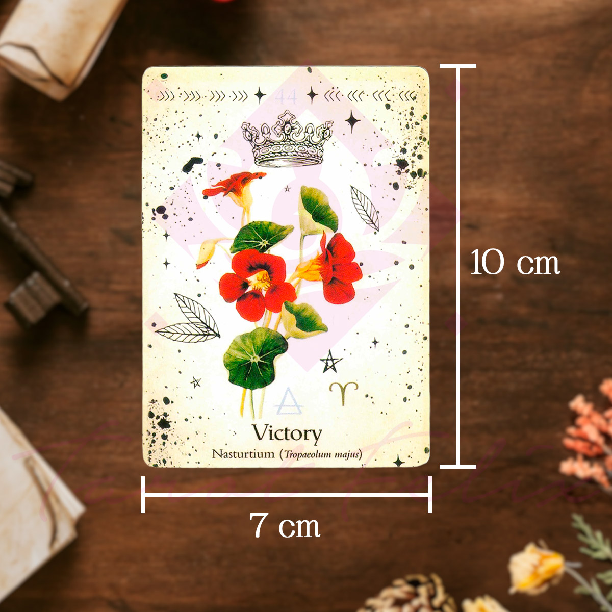 Oráculo Bruja Verde (Green Witch) Guía Botánica Para La Espiritualidad - 44 Cartas