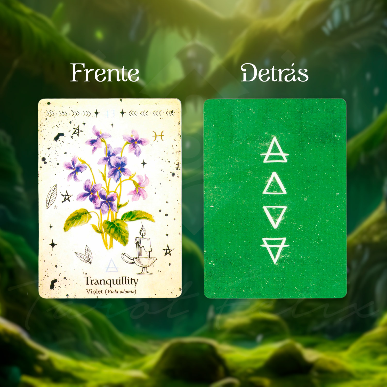 Oráculo Bruja Verde (Green Witch) Guía Botánica Para La Espiritualidad - 44 Cartas