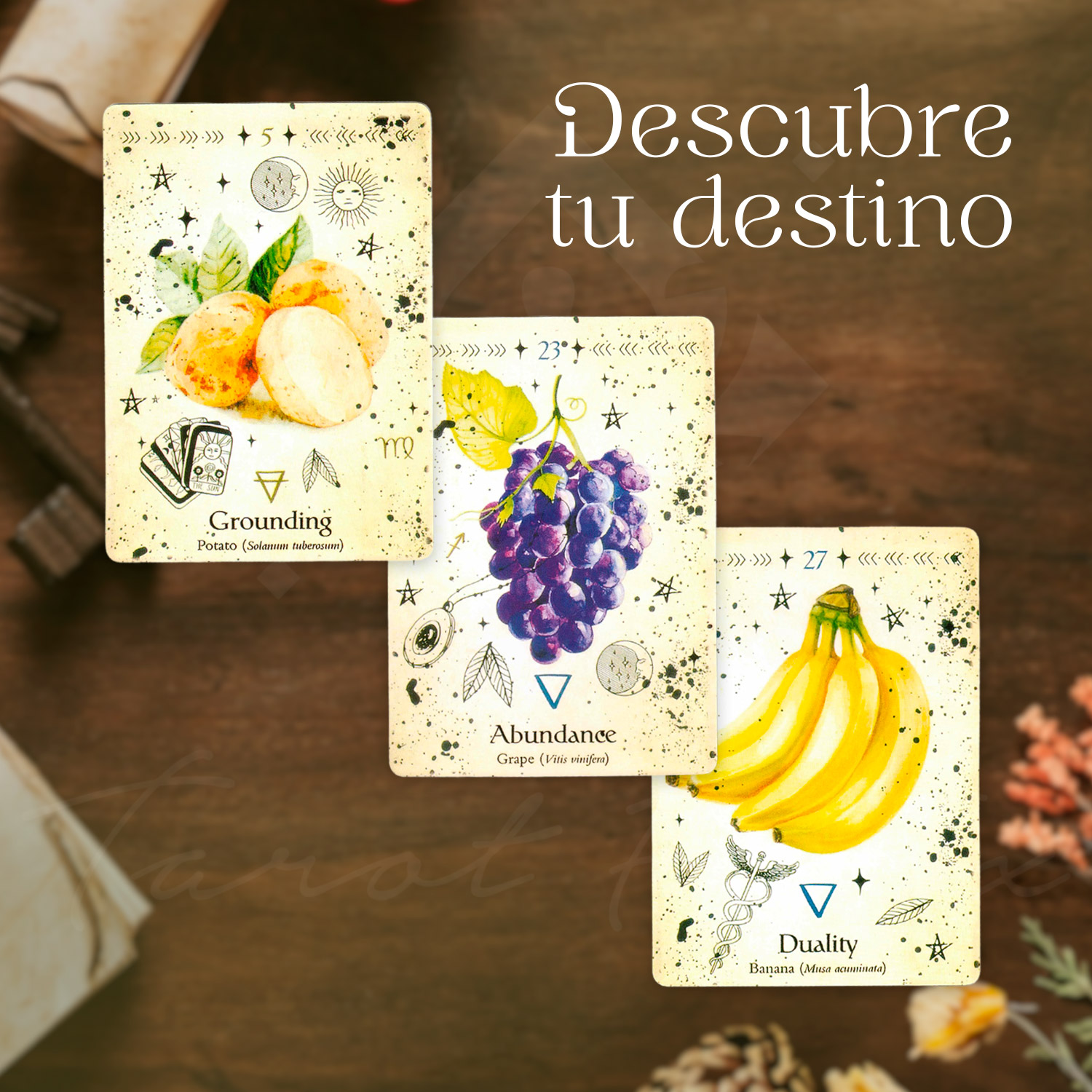 Oráculo Bruja Verde (Green Witch) Guía Botánica Para La Espiritualidad - 44 Cartas