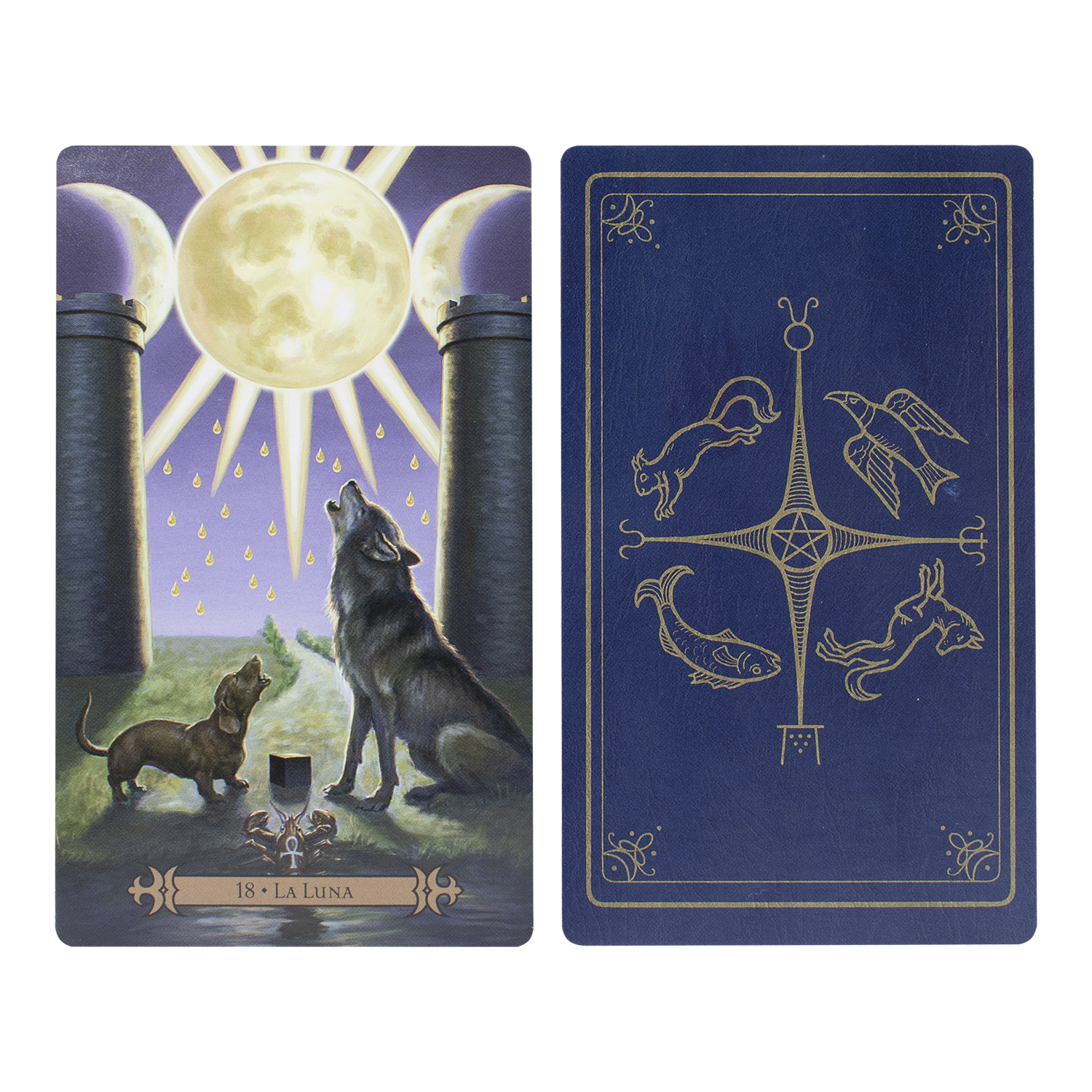 Mazo Cartas Tarot Del Hechicero Moderno Manual En Español - 78 Cartas