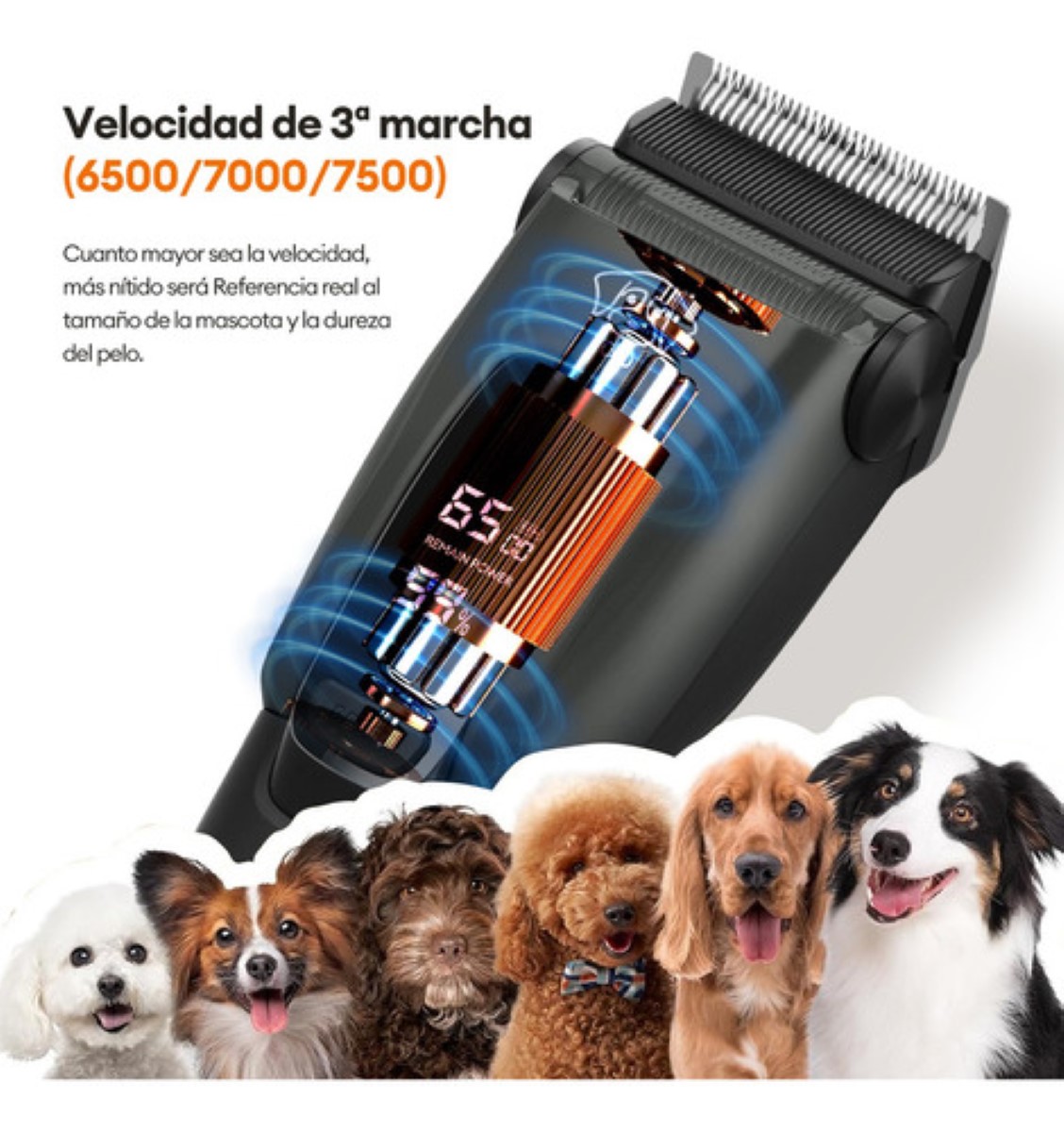 Maquina Para Cortar Pelo De Perro Rasuradora Recargable
