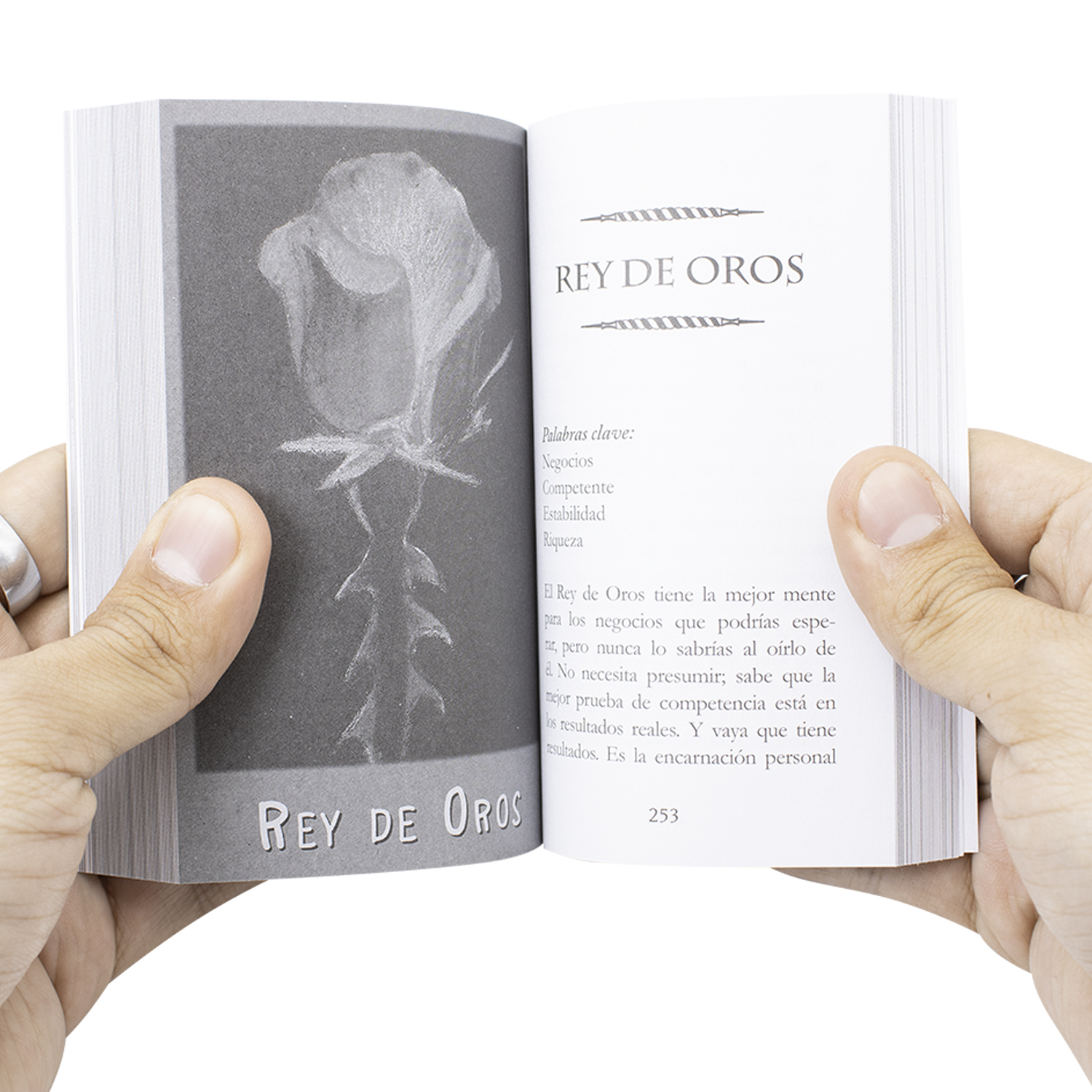 Tarot La Profecia Del Cuervo Matiri  -  78 Cartas en Español + Guía