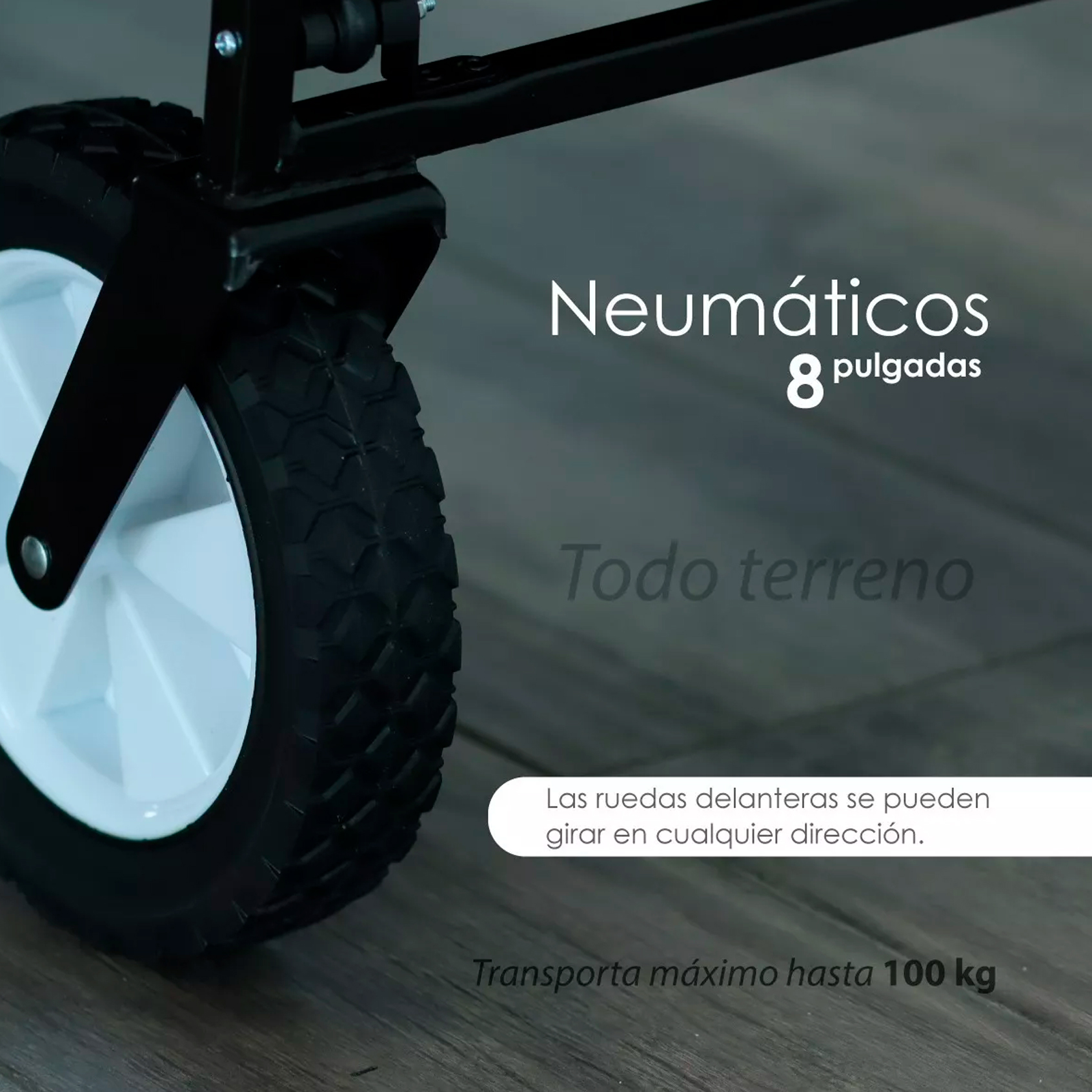 Carrito multifuncional plegable Negro Ilios Innova