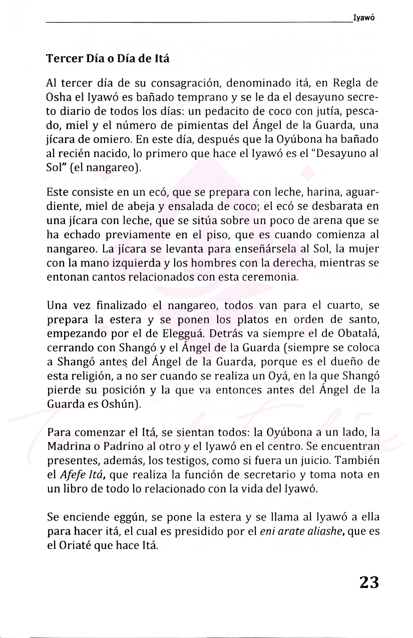 Libro Iyawos: Guía Completa De Iniciación A La Santería Y Ritos Sagrados