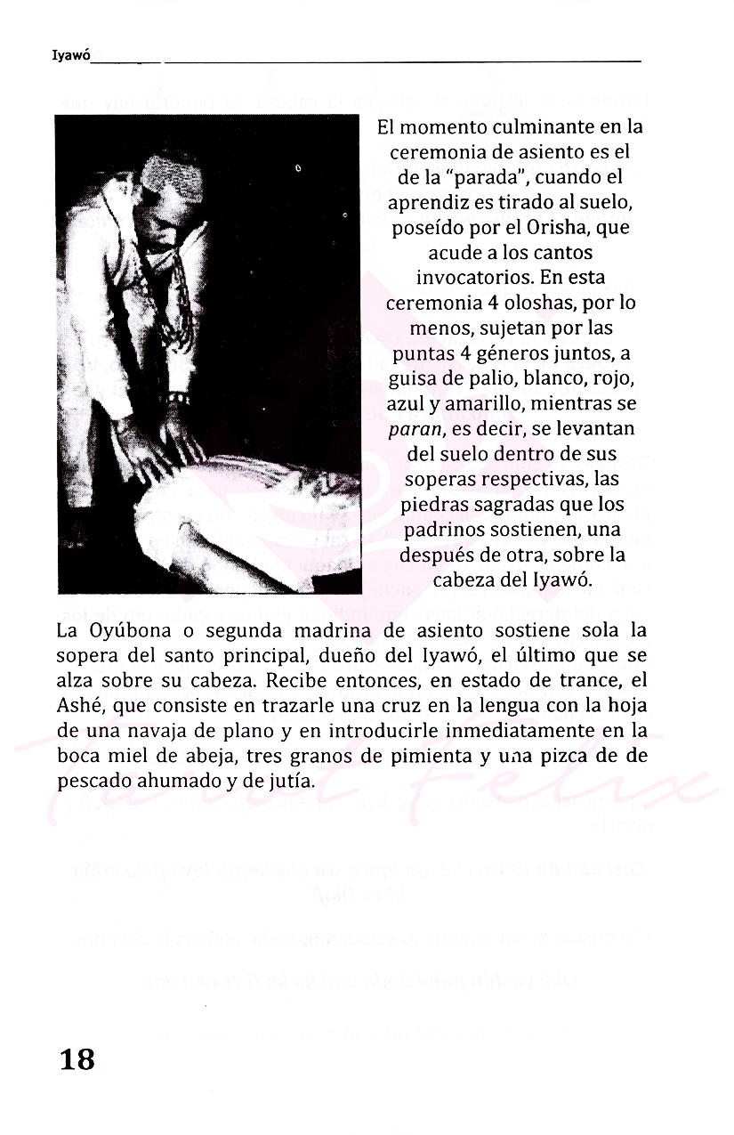 Libro Iyawos: Guía Completa De Iniciación A La Santería Y Ritos Sagrados