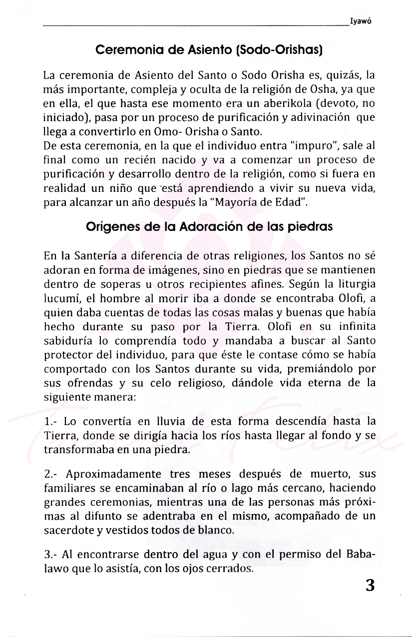 Libro Iyawos: Guía Completa De Iniciación A La Santería Y Ritos Sagrados