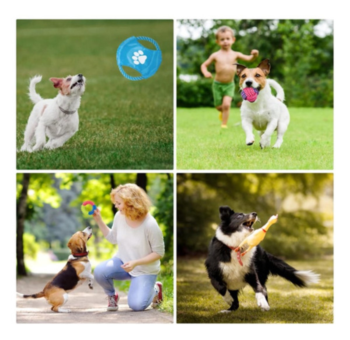 Juguetes Para Perro De 10 Piezas- Juguete Para Masticar 