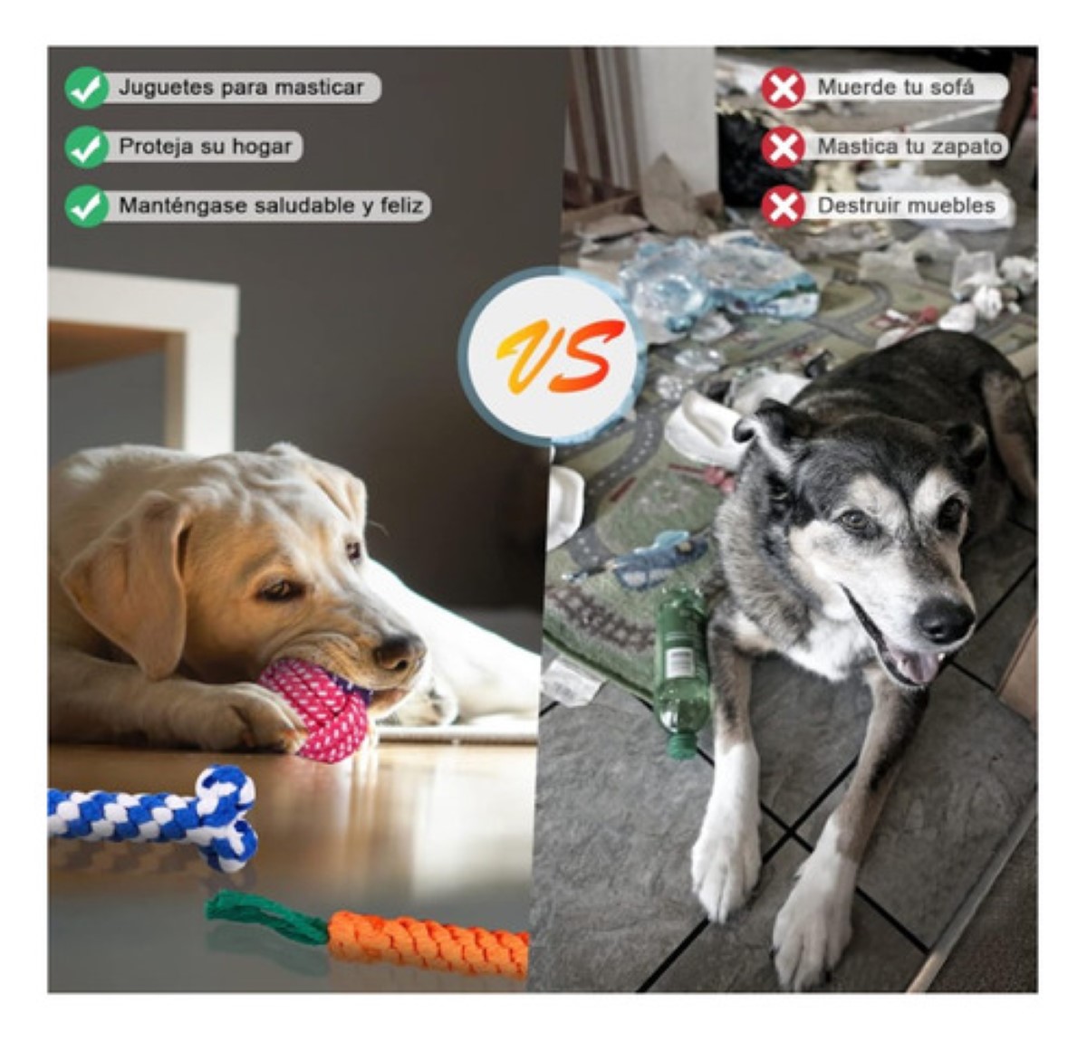 Juguetes Para Perro De 10 Piezas- Juguete Para Masticar 