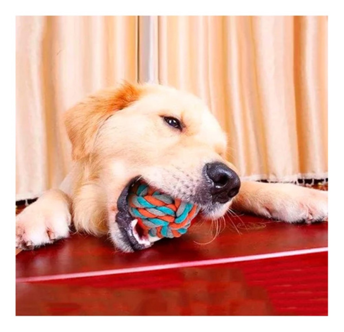 Juguetes Para Perro De 10 Piezas- Juguete Para Masticar 