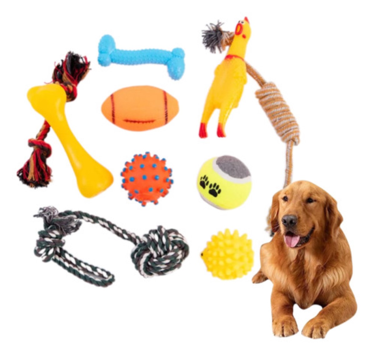 Juguetes Para Perro De 10 Piezas- Juguete Para Masticar
