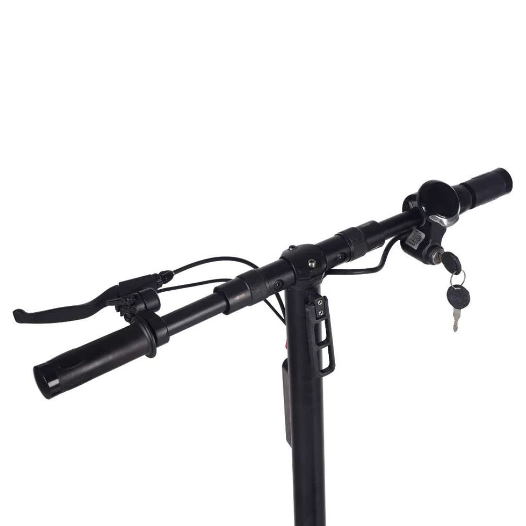 LM RACE WAY LMR-031