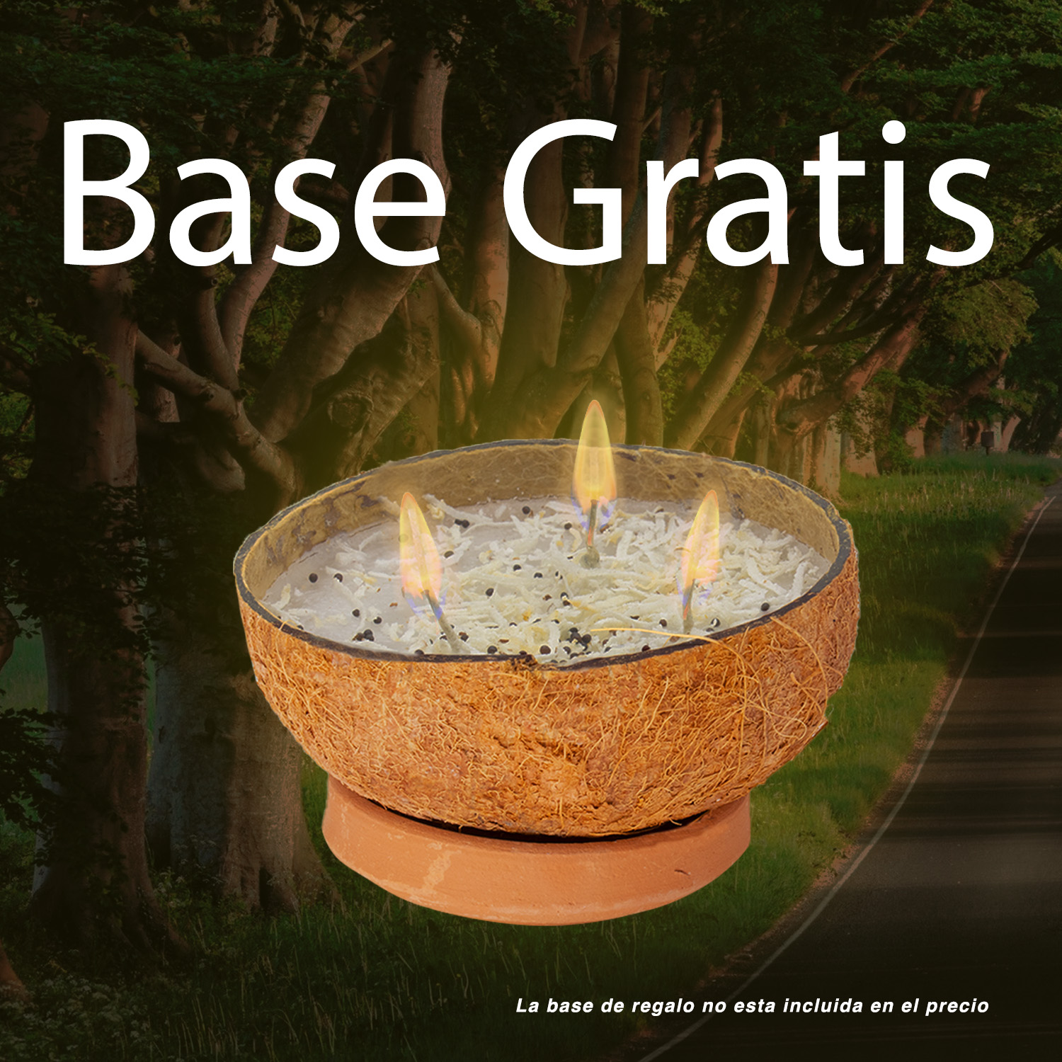 Veladora De Coco Eleggua Abrecaminos Triple Mecha Natural + Base de Regalo