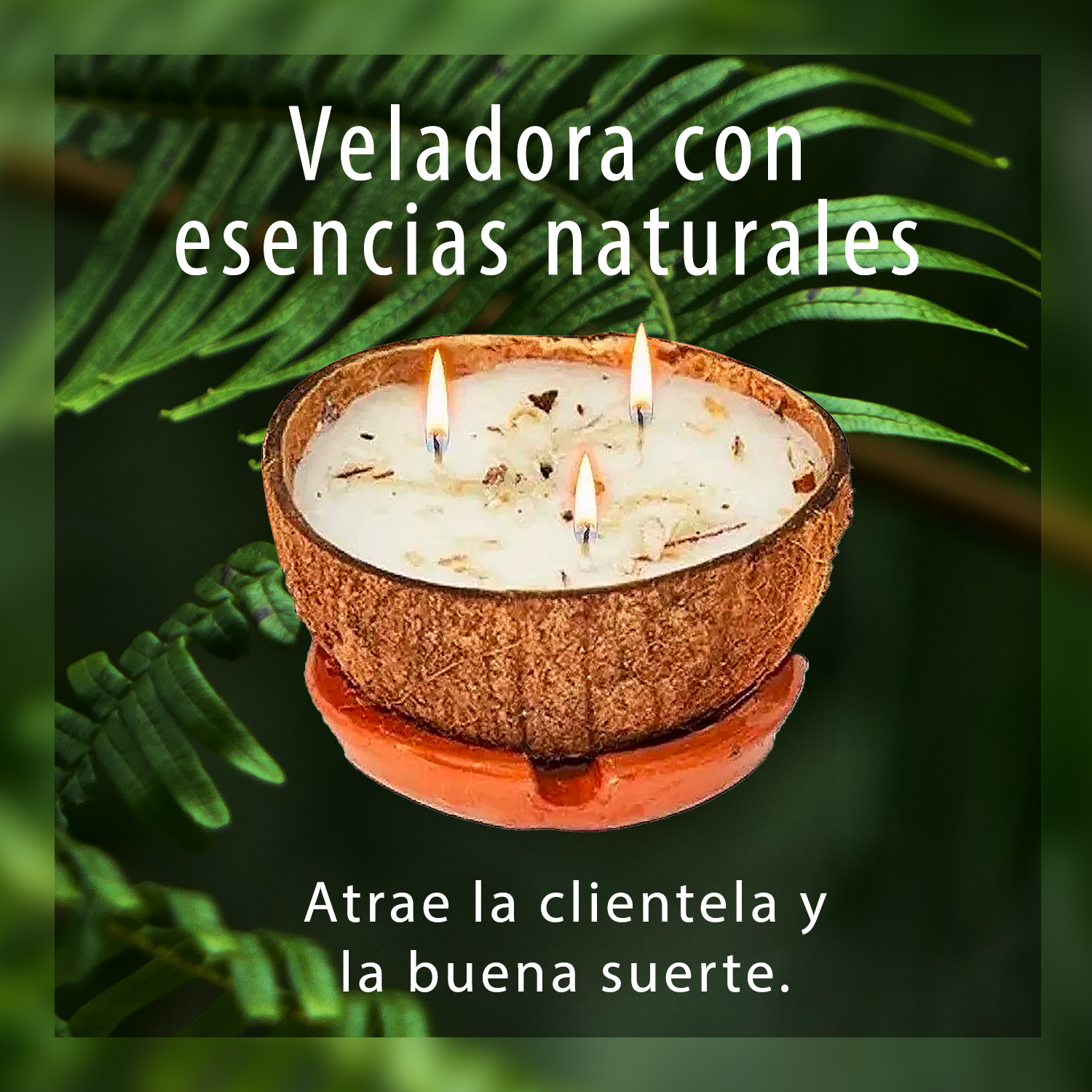 Veladora De Coco Eleggua Abrecaminos Triple Mecha Natural + Base de Regalo