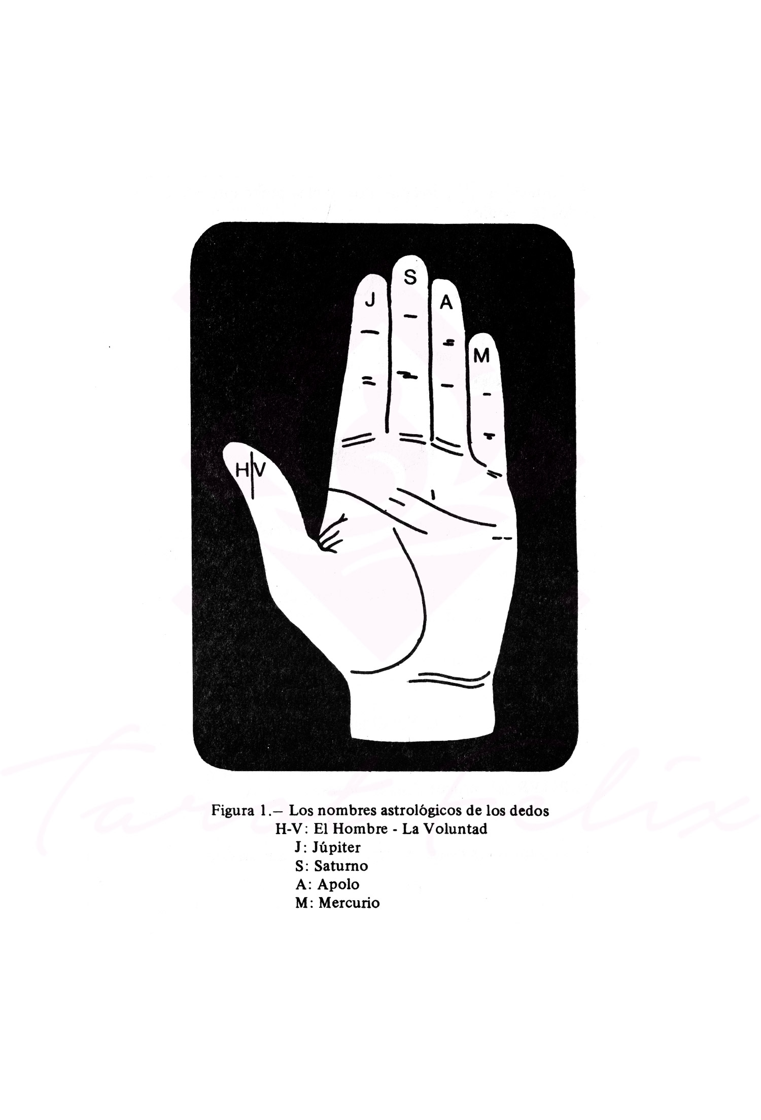 Libro Quirománcia Práctica: Cómo Leer Las Líneas De La Mano