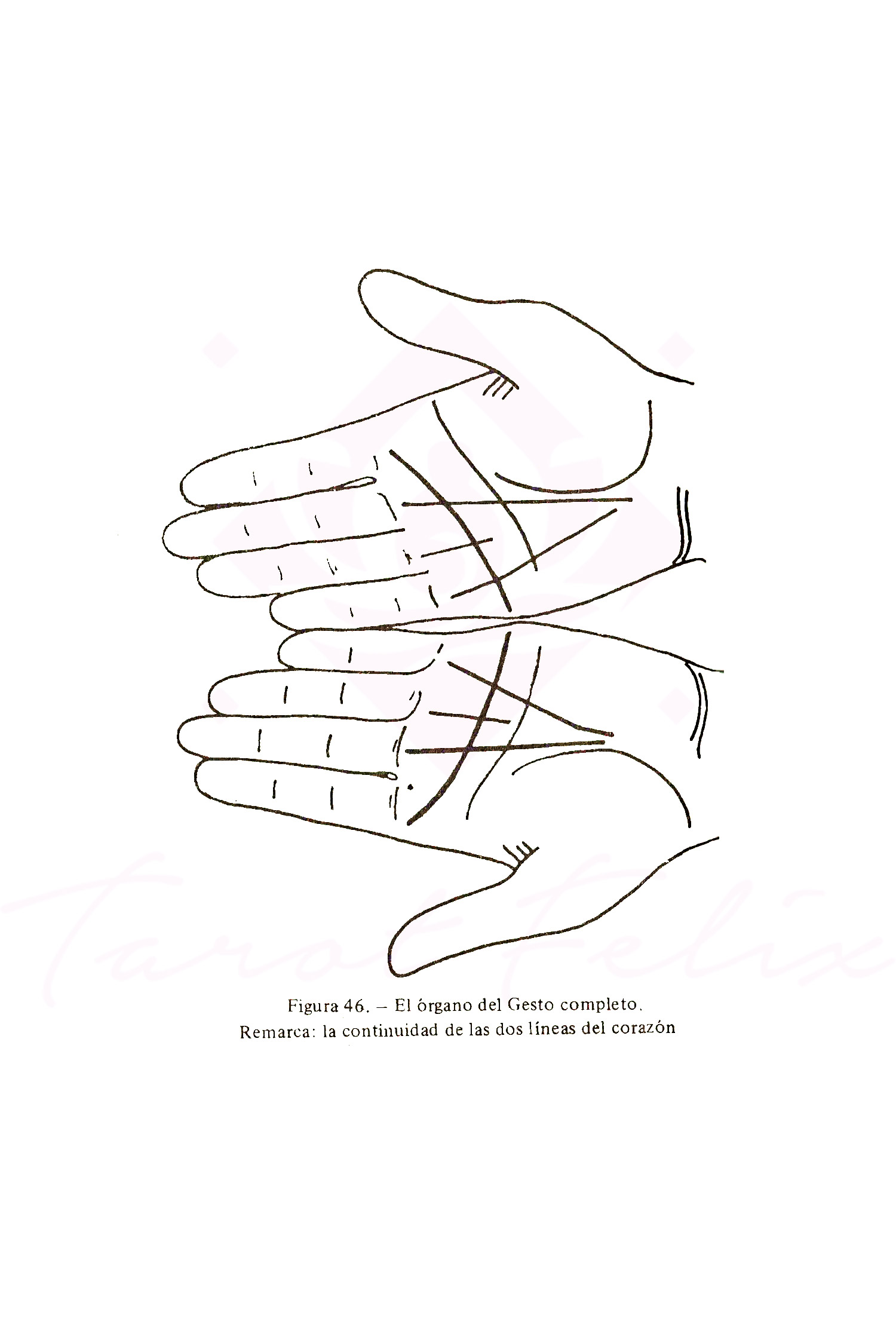 Libro Quirománcia Práctica: Cómo Leer Las Líneas De La Mano